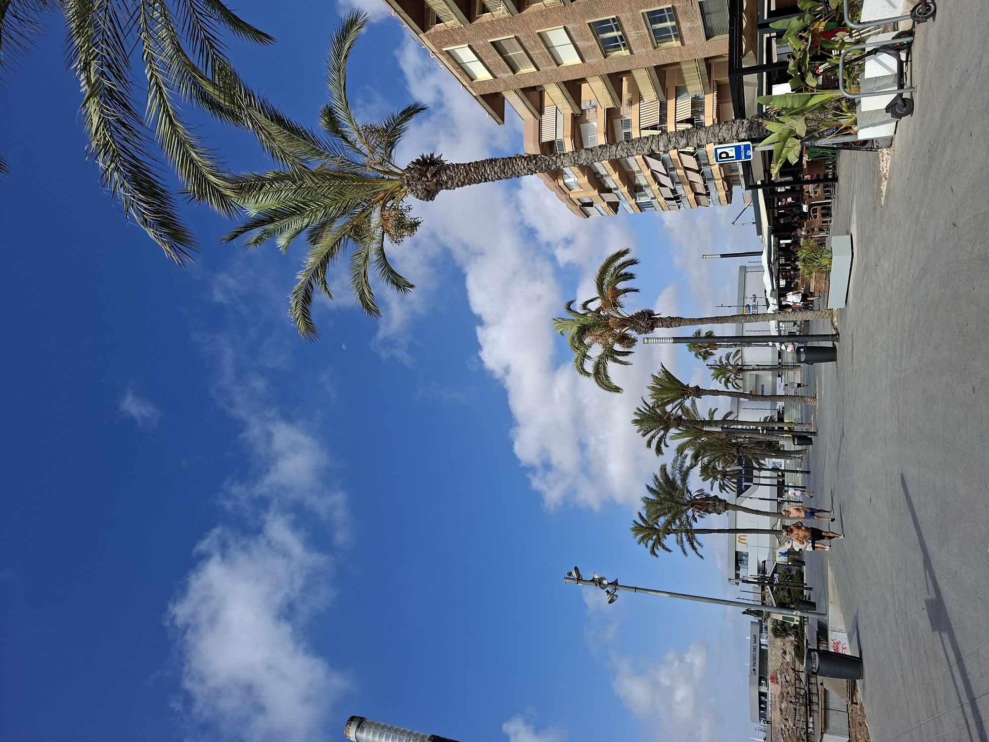 The image depicts a sunny day in Torrevieja, Spain, showing a promenade lined with palm trees. A multi-story brick building with balconies and awnings stands on the right. On the left, a building with the text "PASEO DEL MAR" is visible. Several people are walking and jogging along the paved promenade. A street lamp and trash receptacles are also present. The sky is blue with scattered white clouds. In the foreground, there are planters with foliage and parked electric scooters.
