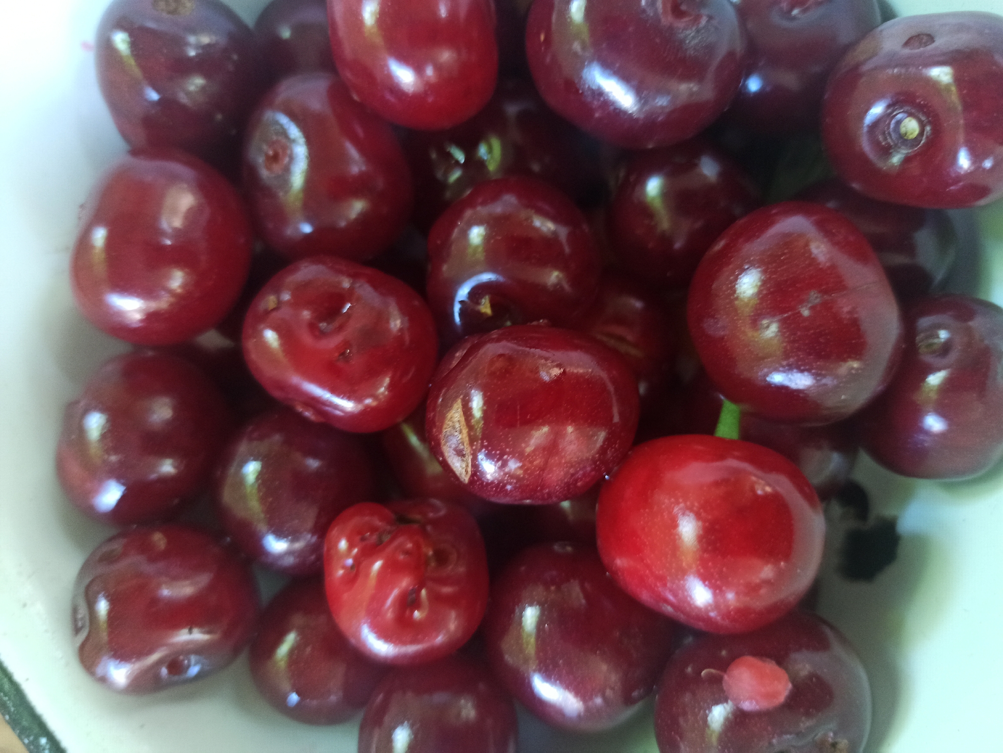 The image displays a close-up, overhead view of a bowl filled with numerous ripe cherries. The cherries are a deep red color, with some variations in shade and a glossy surface reflecting light. They are piled on top of each other, filling the majority of the frame. The bowl itself appears to be a light-colored, possibly ceramic or enamelware, with a slight green rim visible at the top left. The background is out of focus and appears to be a light, neutral color, suggesting an indoor setting. The image is a still life of fruit and does not contain any people, actions, or interactions. The location of this image in the city of Kryvyi Rih, Ukraine, is not discernible from the visual content alone.