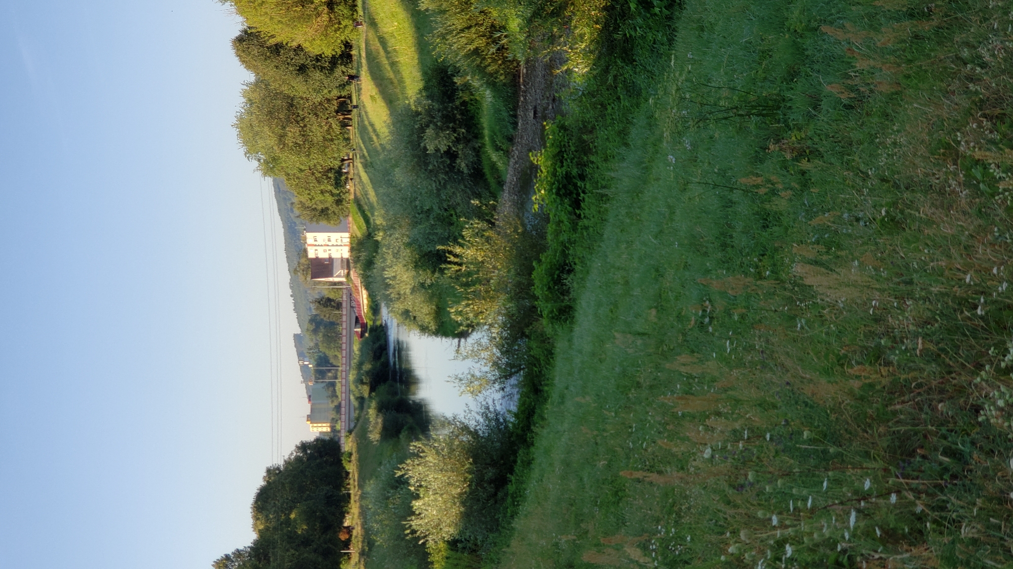 The image depicts a view of the Torysa River flowing through a park-like area in the city of Prešov, Slovakia. The river is bordered by lush green grass and trees. In the background, there is a bridge with a red railing spanning the river, and beyond that, several buildings, including a light-colored multi-story structure with visible windows. The sky is clear and blue, suggesting a sunny day. The foreground is dominated by tall green grass and some dried stalks, indicating a natural, possibly unmanicured, setting. There are no visible people in the scene.