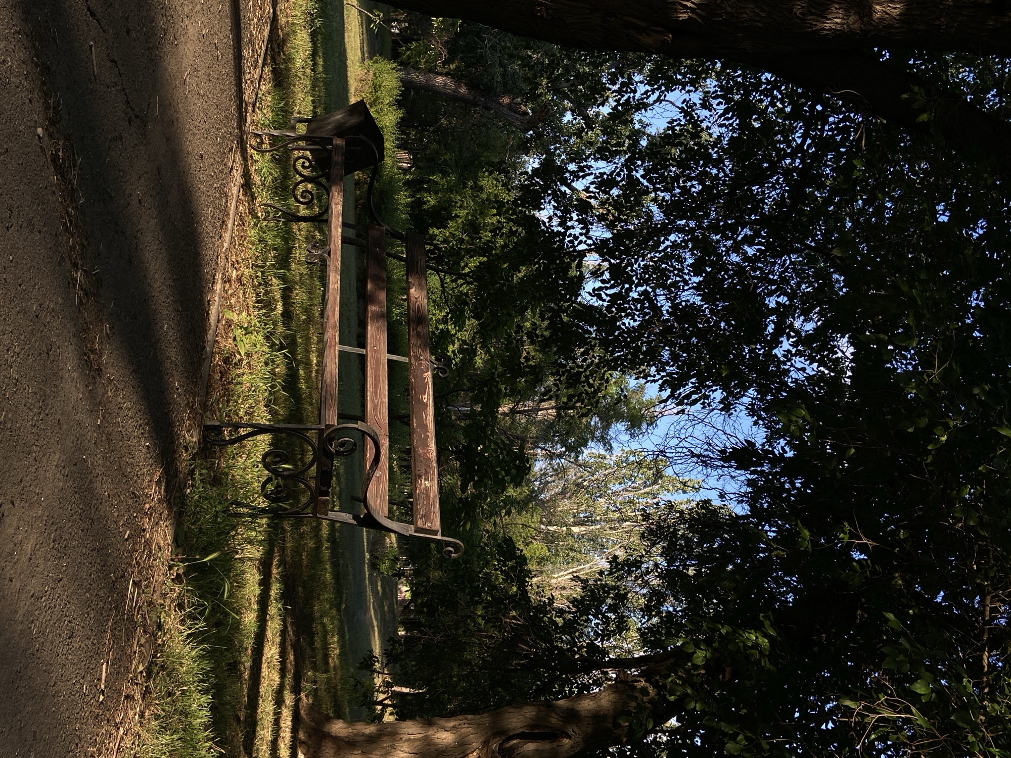 An empty wooden park bench with ornate black metal legs sits on a grassy area next to a paved path. Sunlight filters through the leaves of large trees, casting dappled shadows across the scene. The background reveals a dense green forest with tall trees and clear blue sky visible through the canopy. The image is taken in a park-like setting.