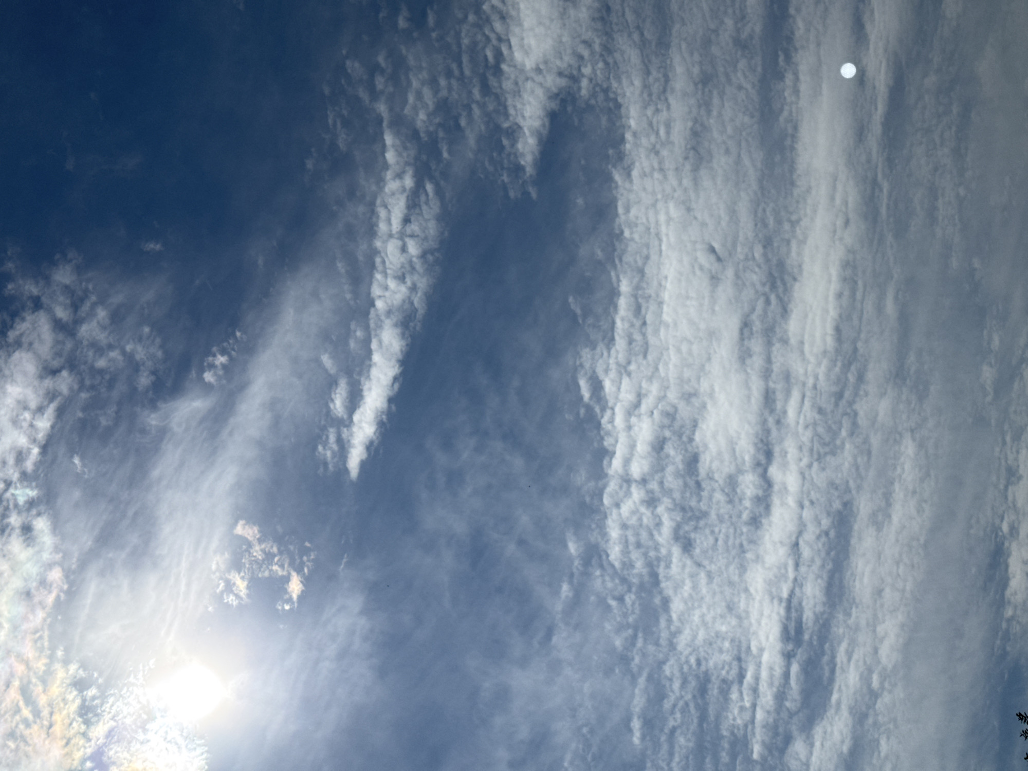 A bright sun is visible in the upper left corner of the image, partially obscured by thin, wispy clouds. The sky is a deep blue, with a variety of cloud formations scattered throughout. Some clouds are dense and white, while others are more translucent and stretched out. In the lower right quadrant of the image, a small, bright white circle is visible against the clouds, likely a reflection or lens flare. The very bottom edge of the image shows a dark silhouette of what appears to be tree branches. The scene depicts a daytime sky, likely on a clear or partly cloudy day. The location of Усть-Мана, Russia is not evident from the image itself.