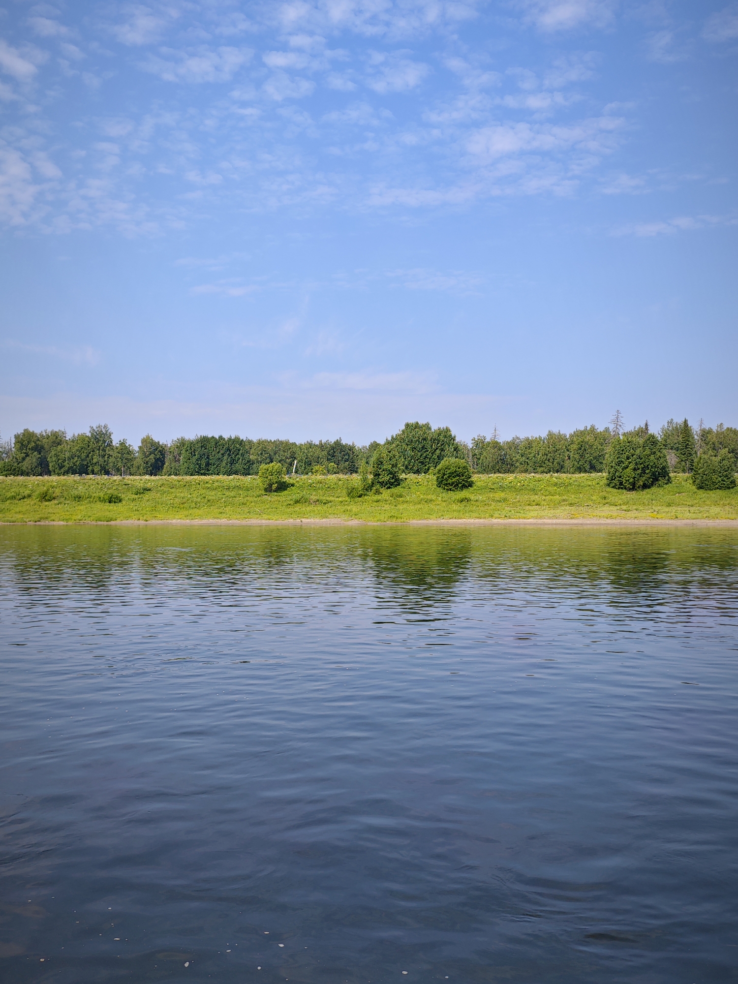 The image shows a wide river with calm, dark blue water in the foreground. The water reflects the sky and the opposite bank. The opposite bank is lined with a lush green grassy area and a dense line of various trees. The sky above is a bright blue with scattered, wispy white clouds. The overall scene is serene and natural, suggesting an outdoor environment in a rural or natural setting. There are no people or man-made structures visible in the image, indicating an undeveloped or natural landscape. The location is identified as Novonazimovo, Russia, which is consistent with a river landscape with extensive greenery and trees.