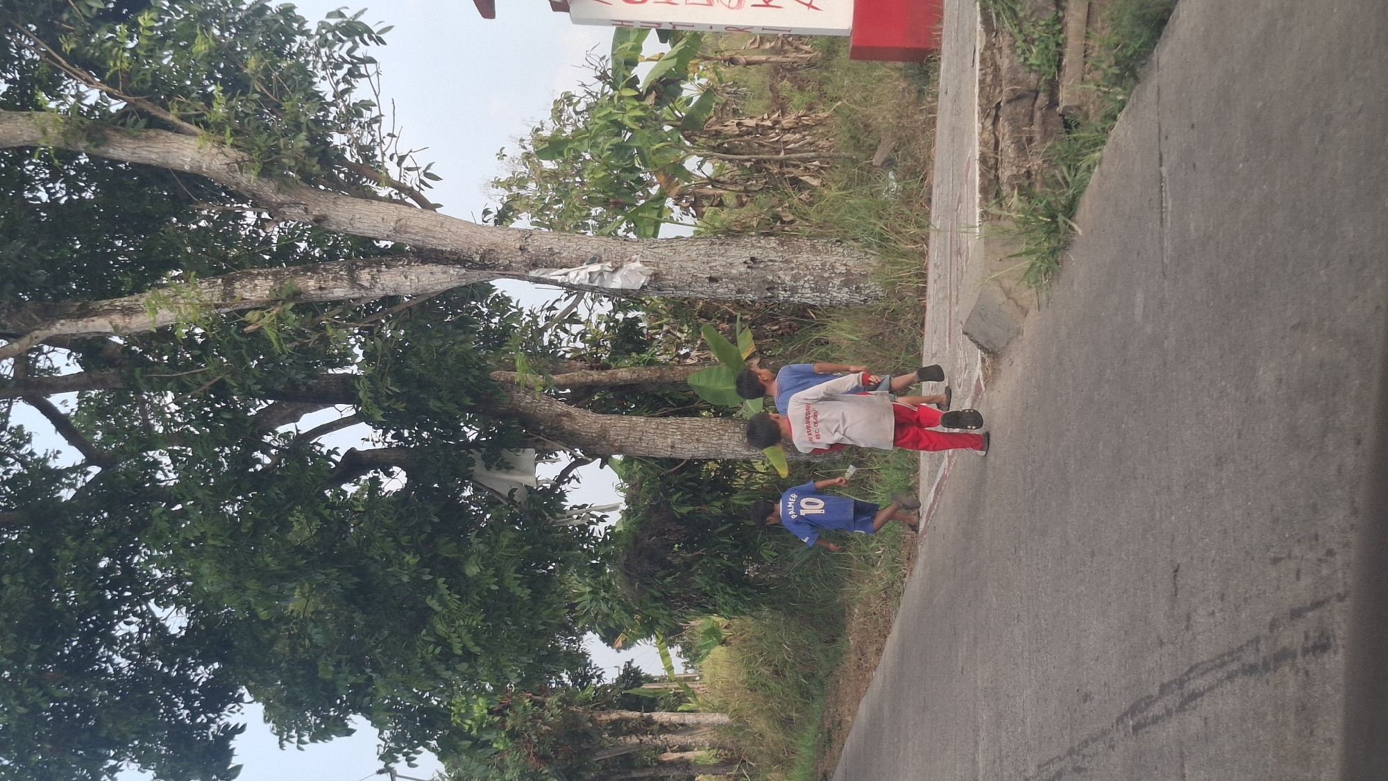 The image depicts three young boys walking on a paved road in Cibinong Hilir, Indonesia. The boys are walking away from the camera, with the boy in the middle wearing a gray long-sleeved shirt and red pants, and the boy on the left wearing a blue jersey with "PALMER 10" on the back. The third boy, to the right, is wearing a blue shirt. They are walking along the side of the road, which is bordered by tall grass and trees. In the background, banana trees and other foliage are visible. A white sign with red lettering is partially visible on the right side of the image. The overall scene suggests a rural or suburban environment.