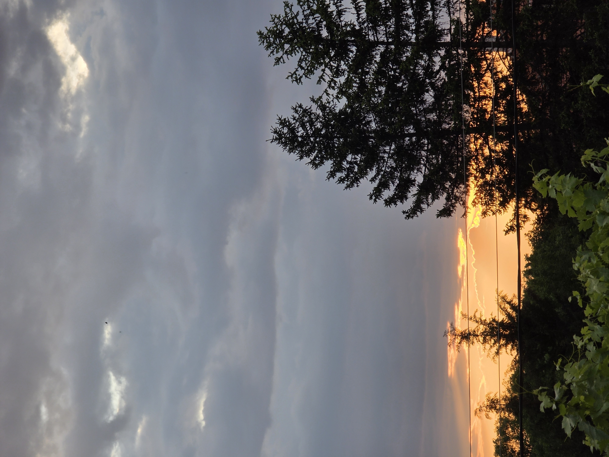 The image shows a sunset in Yagodovo, Bulgaria, with the sky filled with gray clouds on the left side, contrasted by a vibrant orange sunset on the right. Silhouettes of trees are visible against the sunset, and power lines run across the scene. Green foliage is also present on the right side of the image.