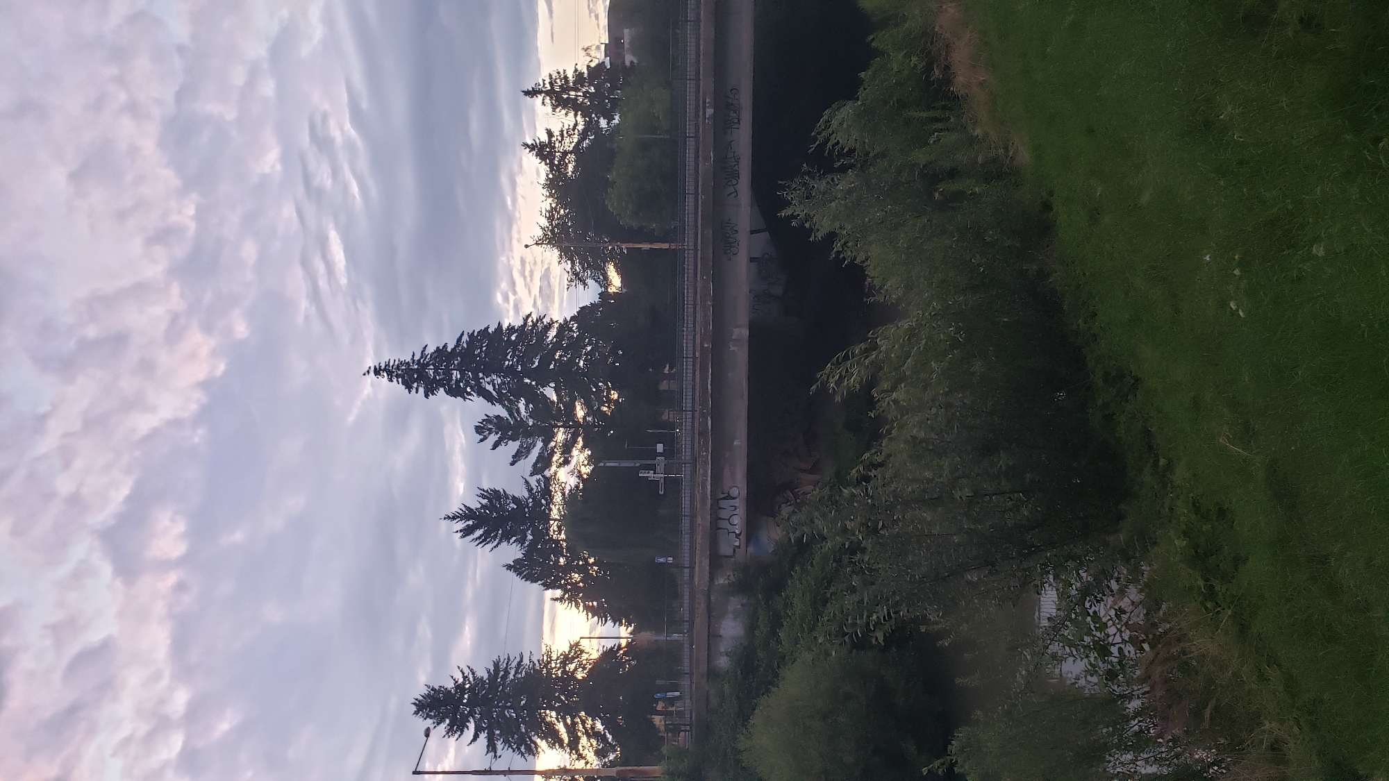 The image depicts a natural scene in Prešov, Slovakia, likely during twilight or early morning. In the foreground, lush green grass covers the lower right portion of the frame. Adjacent to it, to the left, is a body of water, appearing to be a river, with dense green foliage lining its banks.
Dominating the mid-ground is a concrete bridge spanning the water. Graffiti is visible on the underside of the bridge. Behind the bridge, a line of trees, including tall coniferous species, forms a dense backdrop. Some of these trees are silhouetted against a sky filled with textured, pastel-colored clouds.
On the horizon, beyond the trees, there are hints of urban elements, including what appears to be streetlights and possibly buildings. The overall atmosphere suggests a tranquil, natural setting within or on the outskirts of the city. There are no people visible in the image.