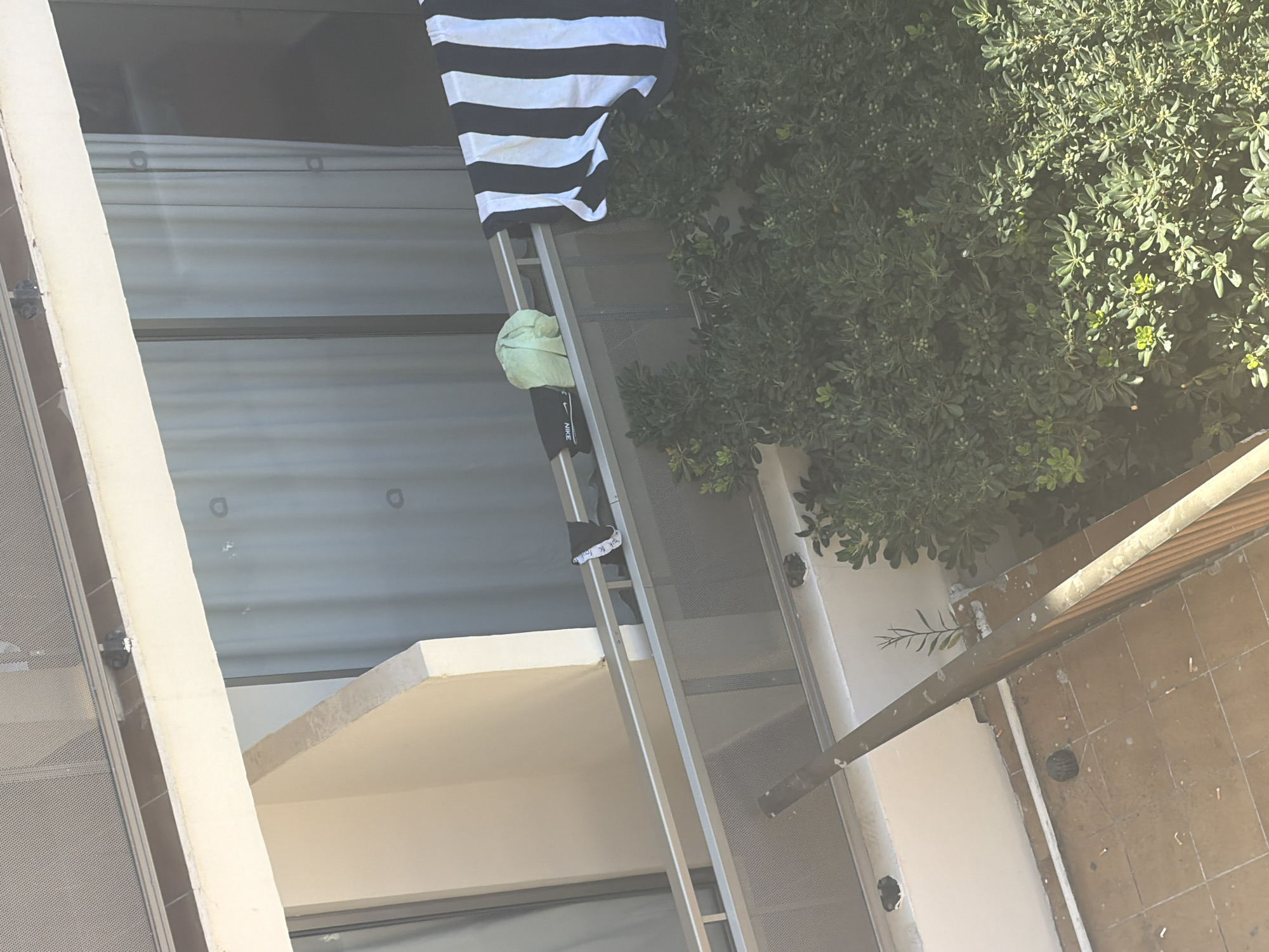 A person is climbing a tall, metallic ladder positioned outside a building, adjacent to a lush green bush. The ladder is angled and extends upwards, with the person halfway up. They are wearing black pants with a white stripe and what appears to be a light green garment slung over their shoulder. A black and white striped piece of fabric, possibly clothing, is draped over the top of the ladder. The scene appears to be outdoors during the daytime, with sunlight casting shadows and illuminating the greenery. The building facade is visible, featuring large windows with horizontal blinds or shutters. The ground is tiled. There is a white railing or beam running diagonally across the lower right portion of the image. The location context suggests this is Sant Antoni de Portmany, Spain. The activity taking place is someone ascending a ladder. Notable details include the distinct black and white stripes on the fabric at the top of the ladder and the visible Nike logo on the person's pants.