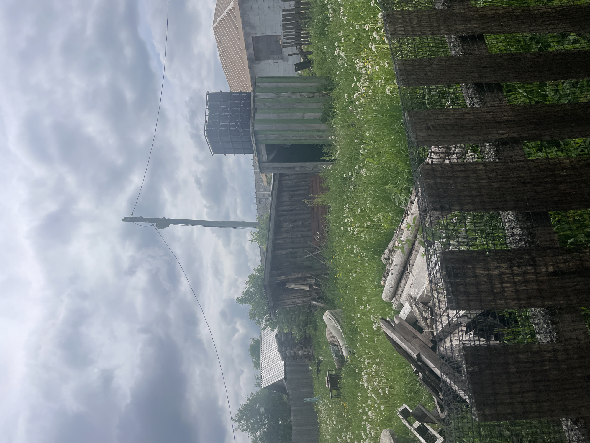 This image depicts a semi-rural or suburban backyard scene under an overcast sky in Железнодорожный, Russia. The foreground features a dark wooden fence with a wire mesh panel. Immediately behind the fence, a disorganized pile of wooden planks, logs, and construction debris is visible. The ground beyond the fence is covered in overgrown green grass interspersed with numerous white dandelion seed heads.
In the midground, a light-colored, upholstered furniture item, possibly a discarded armchair or sofa, rests in the grass. To its left, a small, dark wooden table or stand is present. Further back, a rustic wooden shed with a dark, possibly corrugated metal, roof and an open doorway reveals a dark interior and some hanging fabric or garments on its exterior. Adjacent to this, on the right, is a green wooden outbuilding constructed with vertical planks, upon which a large, dark rectangular water tank is mounted. Behind this outbuilding, a structure under construction is visible, featuring light-colored block walls and exposed wooden roof framing (rafters).
A tall wooden utility pole with a single black wire extends horizontally across the upper midground. A dark, circular fixture is attached to the pole. In the background on the left, a log cabin-style building with a corrugated metal roof is partially obscured by trees. Further to the right in the far background, a multi-story residential building with grey facades is discernible. No people or animals are explicitly visible in the scene. The lighting is diffuse, consistent with heavy cloud cover.