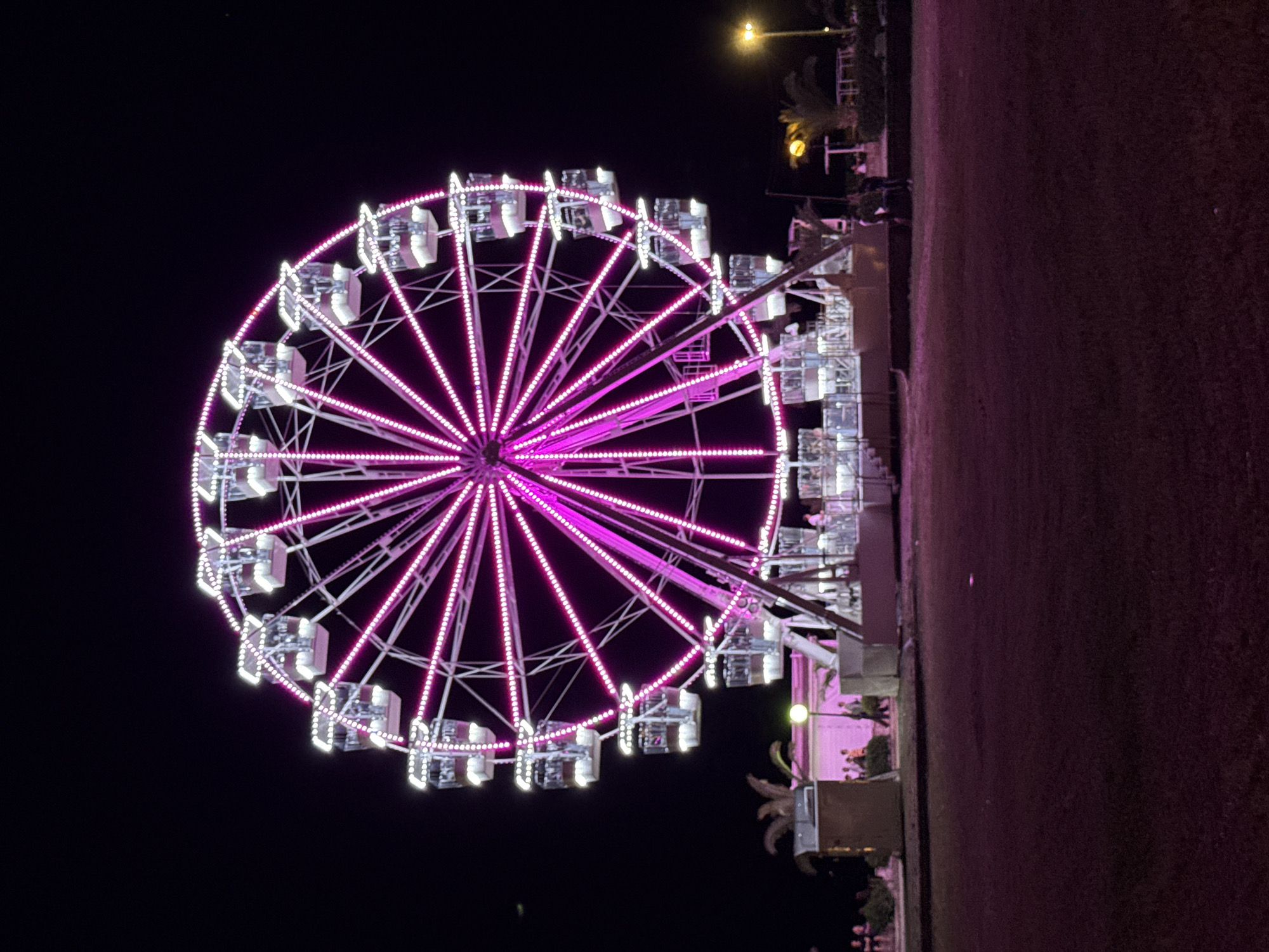 A brightly lit Ferris wheel dominates the center of the image, set against a dark night sky. The wheel is adorned with numerous pink lights that trace its circular structure and illuminate the individual gondolas. The base of the Ferris wheel is surrounded by structures and palm trees, suggesting an amusement park or a similar outdoor entertainment venue. In the background, there are a few people standing around, and streetlights are visible. The foreground features a dark, grassy area. This scene is located in Budva, Montenegro, likely on the coast or in a prominent tourist area given the presence of the Ferris wheel.