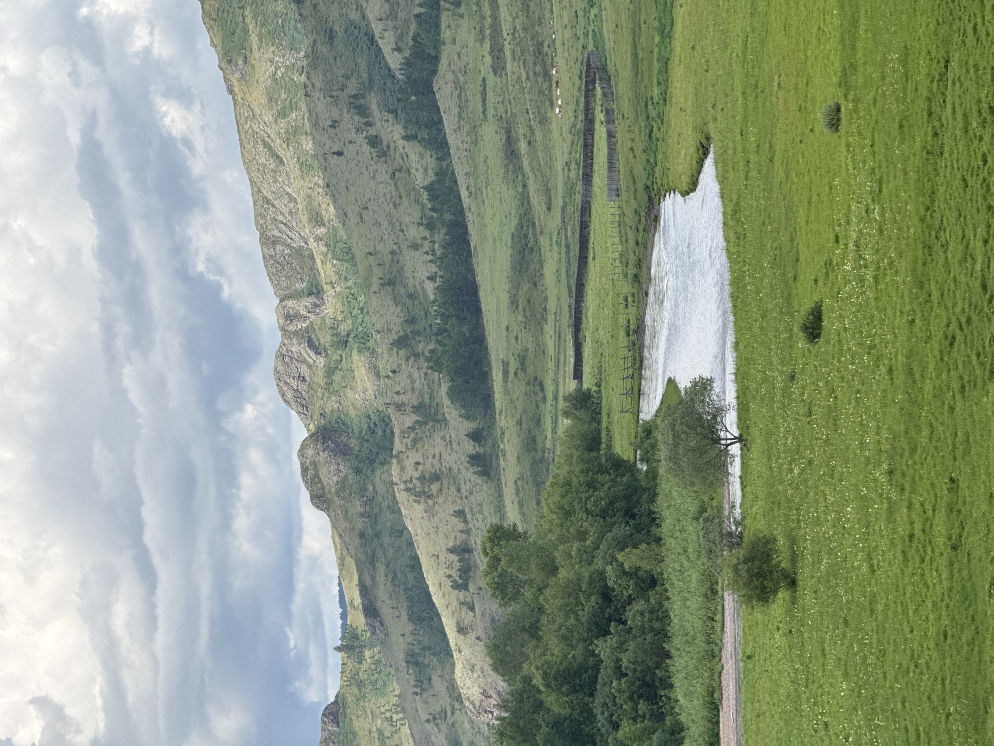 The image depicts a wide, winding river flowing through a lush green valley in Anchyl-Chon, Russia. The river is bordered by dense trees on the left and a gently sloping, grass-covered hillside on the right. The hillside is dotted with scattered trees and in the distance, appears to merge with larger, rugged mountains. A low, weathered wooden fence snakes its way across the grassy expanse, dividing the valley. Several cows are visible grazing near the fence in the middle ground. The sky above is overcast with dramatic, textured clouds. The overall impression is one of a remote, natural landscape bathed in soft, diffused light.