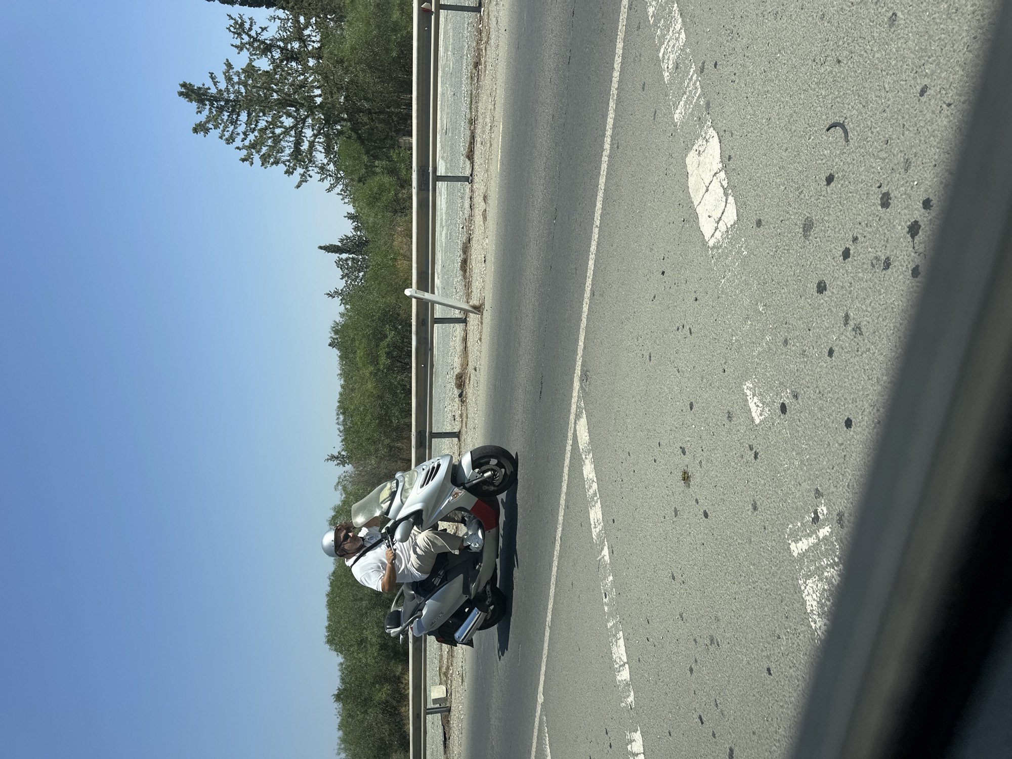 An older man wearing a white polo shirt, light-colored pants, white sneakers, and a silver helmet rides a silver and red scooter down a paved road. He is wearing sunglasses and has his left hand on the handlebar and his right hand near his face, possibly shading his eyes. The scooter has a windshield and a black seat. The road has white lane markings, and there are dark splatters on the asphalt. On the right side of the road, a metal guardrail with metal posts lines the shoulder, which is covered in gravel and dirt. Behind the guardrail, there is a dense line of green trees and bushes, with taller evergreen trees scattered throughout. The sky is clear and blue. The image appears to have been taken from a moving vehicle, with a dark, blurred area in the foreground suggesting a window or frame.