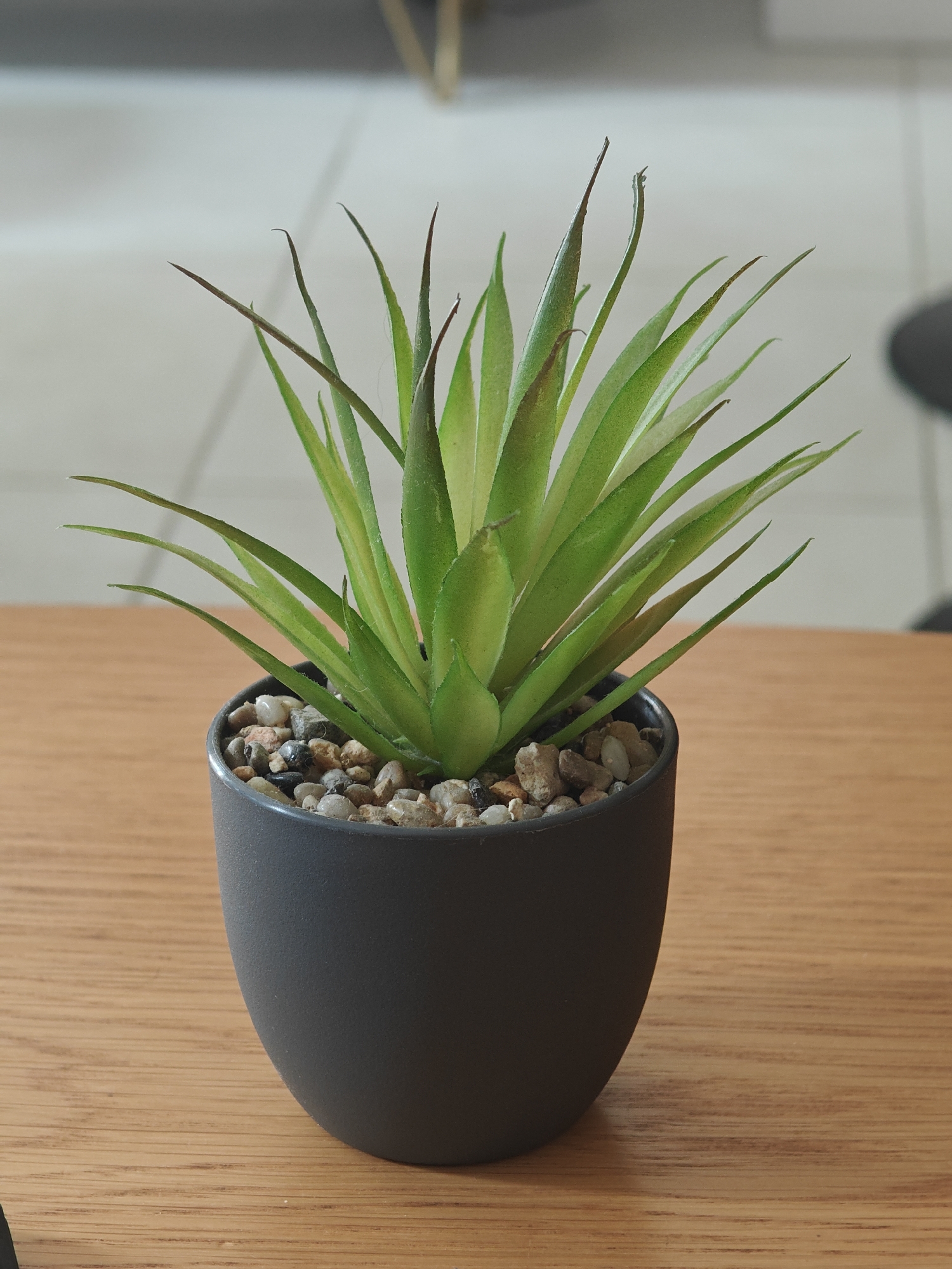 A close-up, eye-level shot features a small, artificial succulent plant in a dark gray pot. The plant's green, pointed leaves, some with reddish-brown tips, fan out from the center. The pot is filled with small, multi-colored pebbles. The planter sits on a light brown wooden surface with a visible wood grain pattern. In the background, a blurred white tiled floor is visible. The lighting suggests it is daytime, and the scene appears to be indoors. There is no visible text in the image.