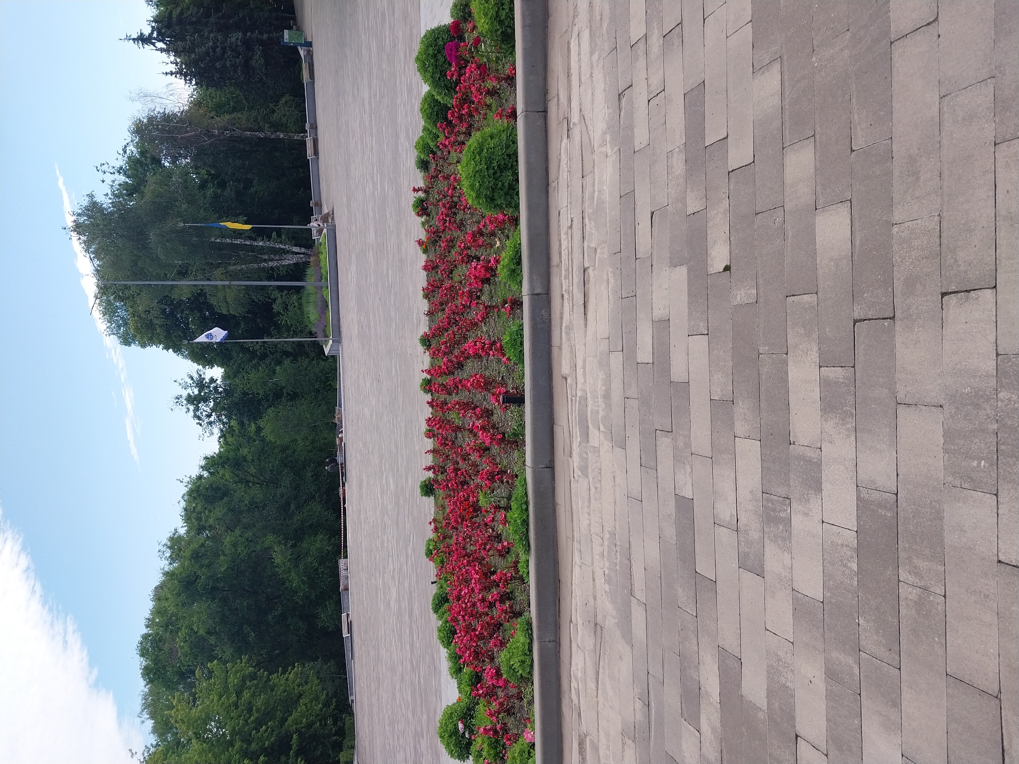 The image depicts an outdoor public space paved with grey rectangular bricks. In the foreground, the bricks are laid in a staggered pattern. A raised flower bed, bordered by a concrete curb, occupies the midground. The flower bed is densely planted with numerous small red flowers, interspersed with greenery and a few larger green bushes. In the background, a wide paved area stretches towards a line of trees. Two flags are visible: one is white with a blue emblem, and the other is yellow and blue, representing the Ukrainian flag. Several benches are positioned along the edge of the paved area, near the flags and trees. The sky above is blue with scattered white clouds.