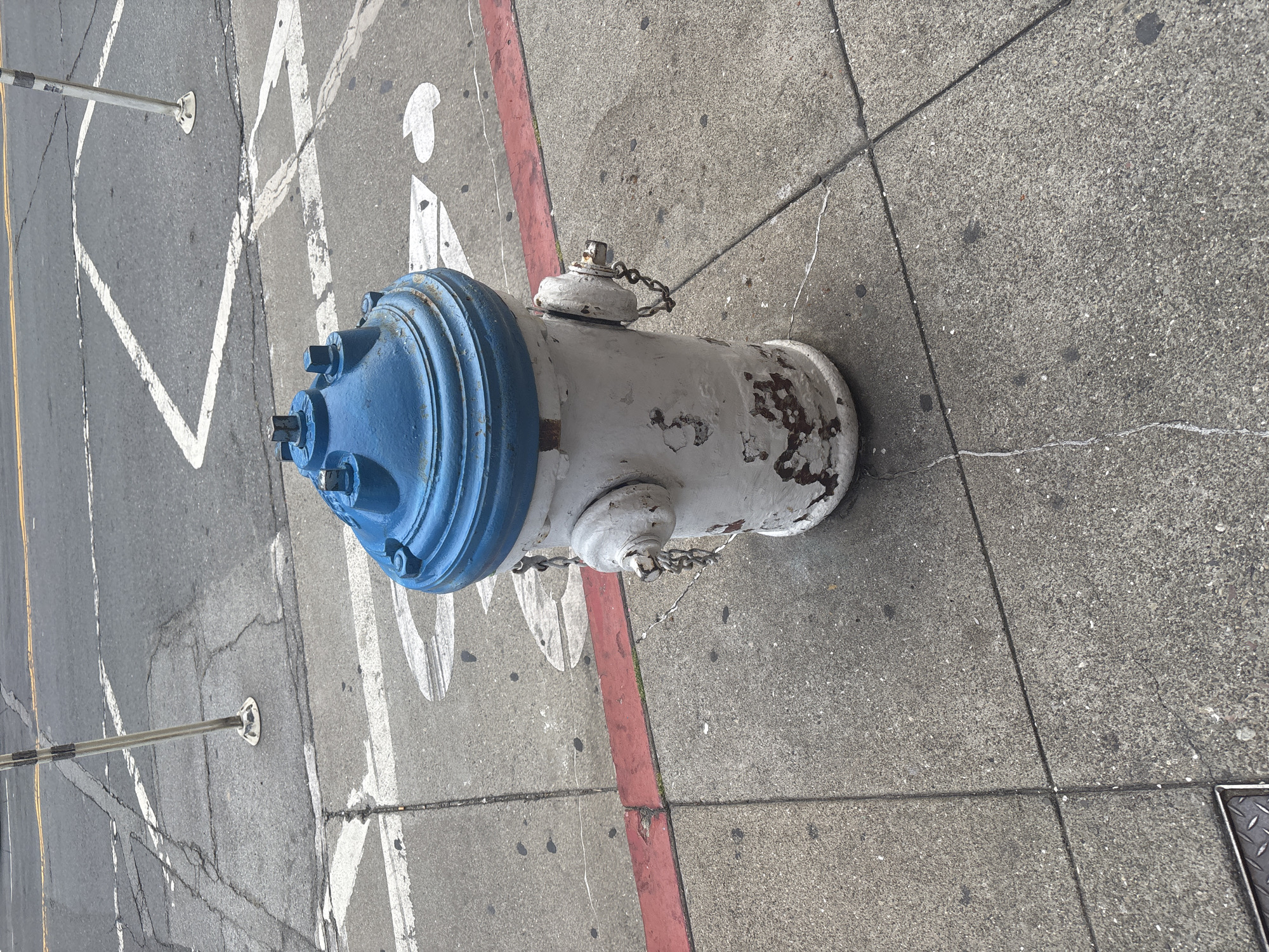 A fire hydrant with a blue top and a weathered white body stands on a concrete sidewalk. The hydrant is positioned near a street with asphalt and white lane markings. A red curb separates the sidewalk from the street. In the background, a silver pole with a white base is visible on the street. The scene is outdoors in San Francisco, United States of America.