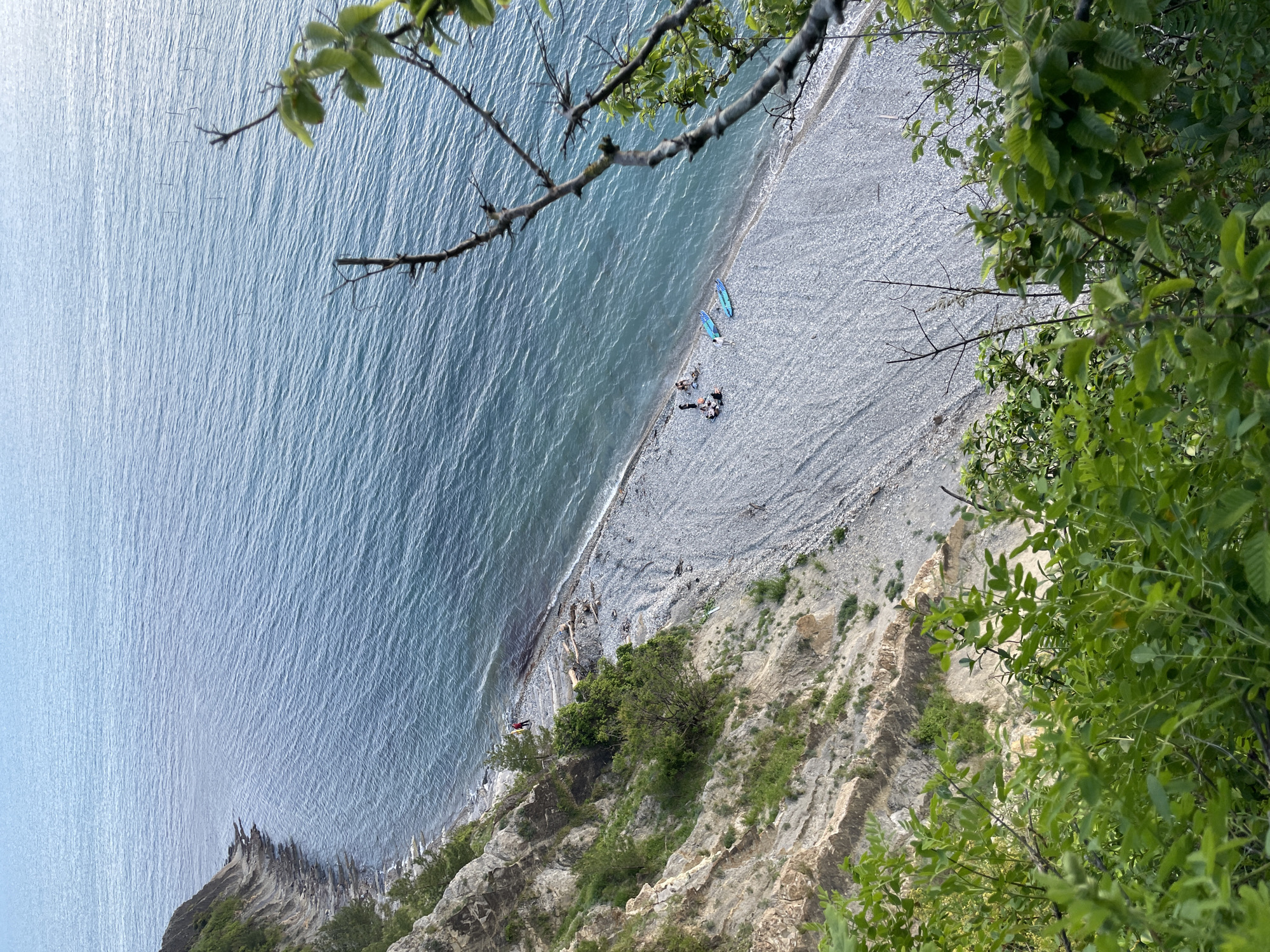 From an elevated perspective, the image depicts a coastline in Olginka, Russia. To the left, the light blue sea shows gentle ripples. A rocky, gray pebble beach stretches along the coastline. Several people are present on the beach, along with two blue and turquoise objects that appear to be surfboards. Further down the coast, logs and debris are visible on the beach. The land ascends steeply, with visible rocky cliffs and vegetation clinging to the hillside. Green foliage from trees in the foreground frames both the upper left and right sides of the image.