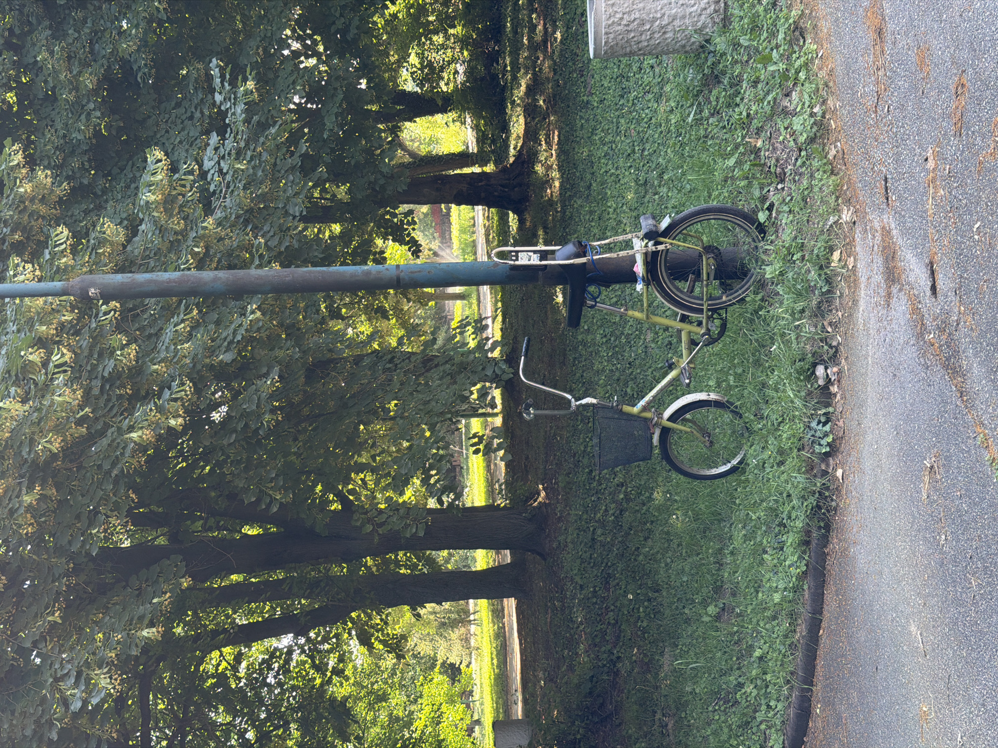 A vintage green bicycle is chained to a blue metal lamppost in a park setting. The bicycle has a black basket on the front and a black seat. The lamppost is positioned in a grassy area with trees in the background. A paved path is visible in the foreground. The scene appears to be a sunny day. The location is identified as Pazardzhik, Bulgaria.