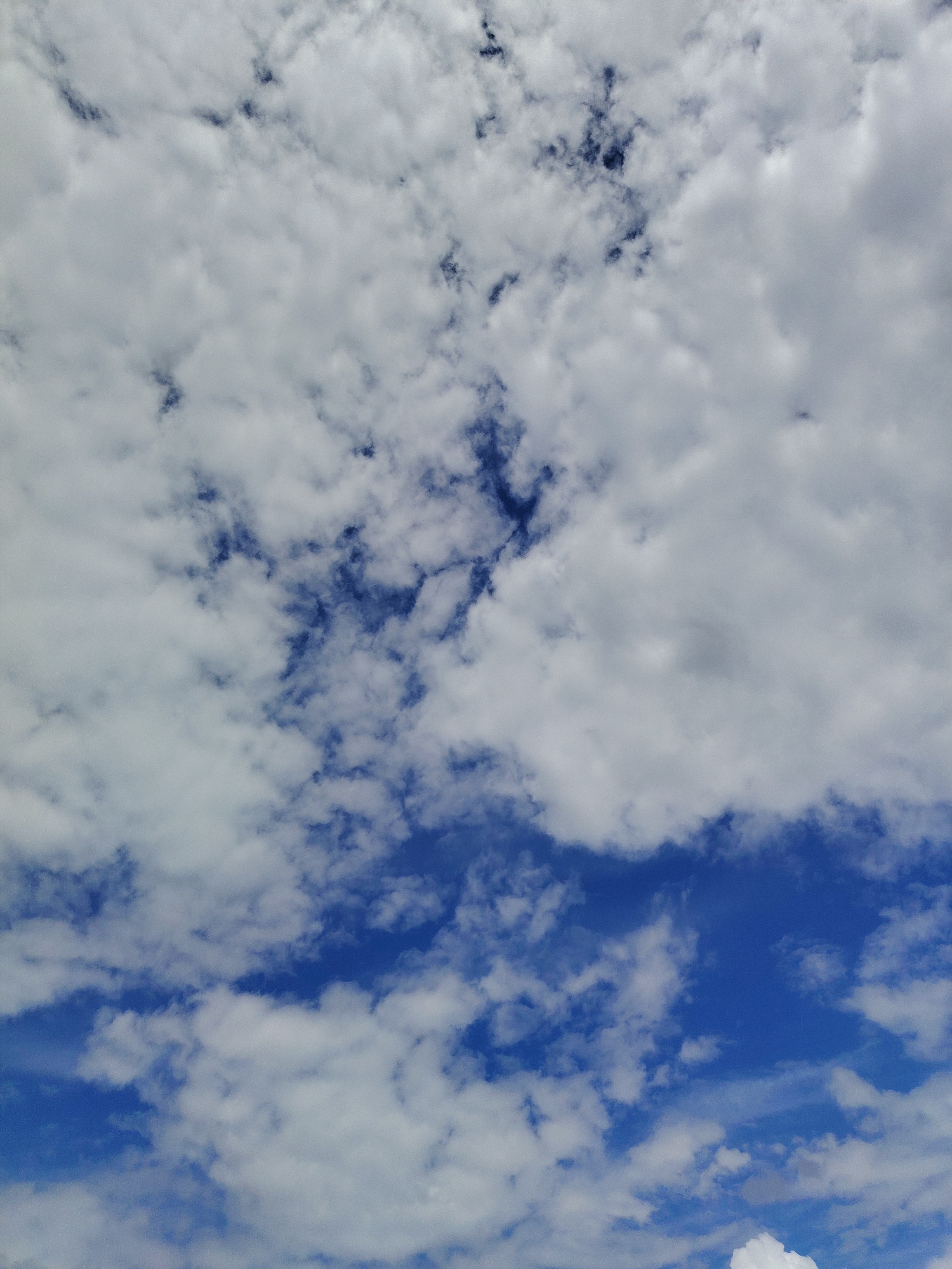 This media file shows a cloudy sky with patches of blue visible. The clouds are white and fluffy, with some darker, more textured areas interspersed. The blue sky peeks through in various places, suggesting a partly cloudy day. The lighting appears bright, indicating it is likely daytime. There are no people, objects, text, or any specific location cues visible in the image. The overall impression is one of a dynamic sky, with the clouds constantly shifting and forming new patterns. The scene is peaceful and serene, evoking a sense of natural beauty and wonder.