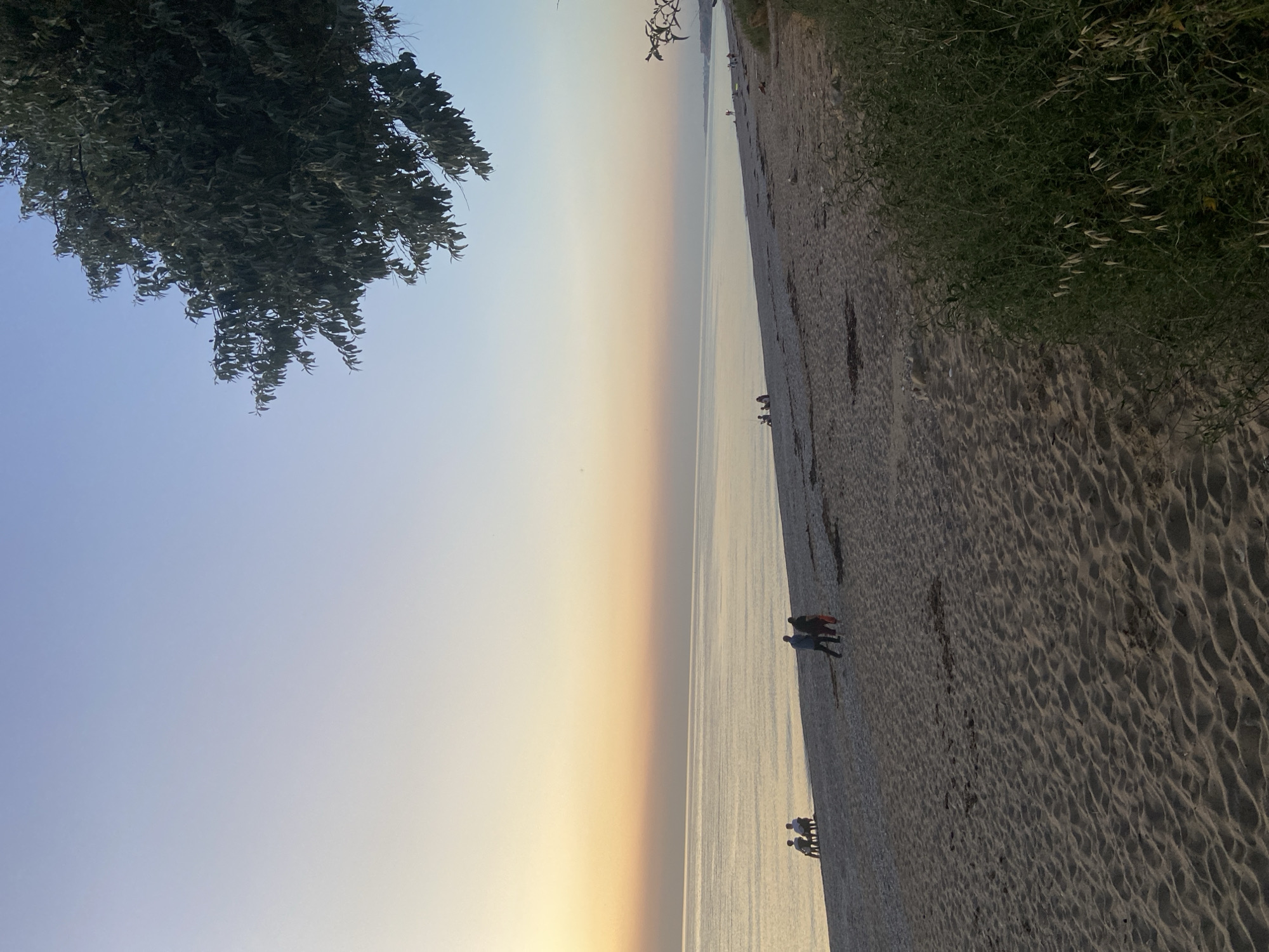 A wide shot captures a serene beach scene in Sevastopol, Ukraine, during what appears to be either sunrise or sunset. The sky is a gradient of soft blues and warm yellows, meeting the calm, reflective surface of the Black Sea. The beach itself is a mix of sand and pebbles, with scattered bits of seaweed.
In the middle ground, several individuals are present. On the left, a small group of three people is seated on chairs near the water's edge. Further along the beach, a couple walks together. In the distance, other solitary figures can be seen strolling along the shore.
The foreground is dominated by the textured sand of the beach, with a dense patch of green foliage on the right side of the frame. A large tree with dark green leaves hangs over the scene from the upper right corner, its branches reaching towards the sky. The overall atmosphere is tranquil and peaceful.