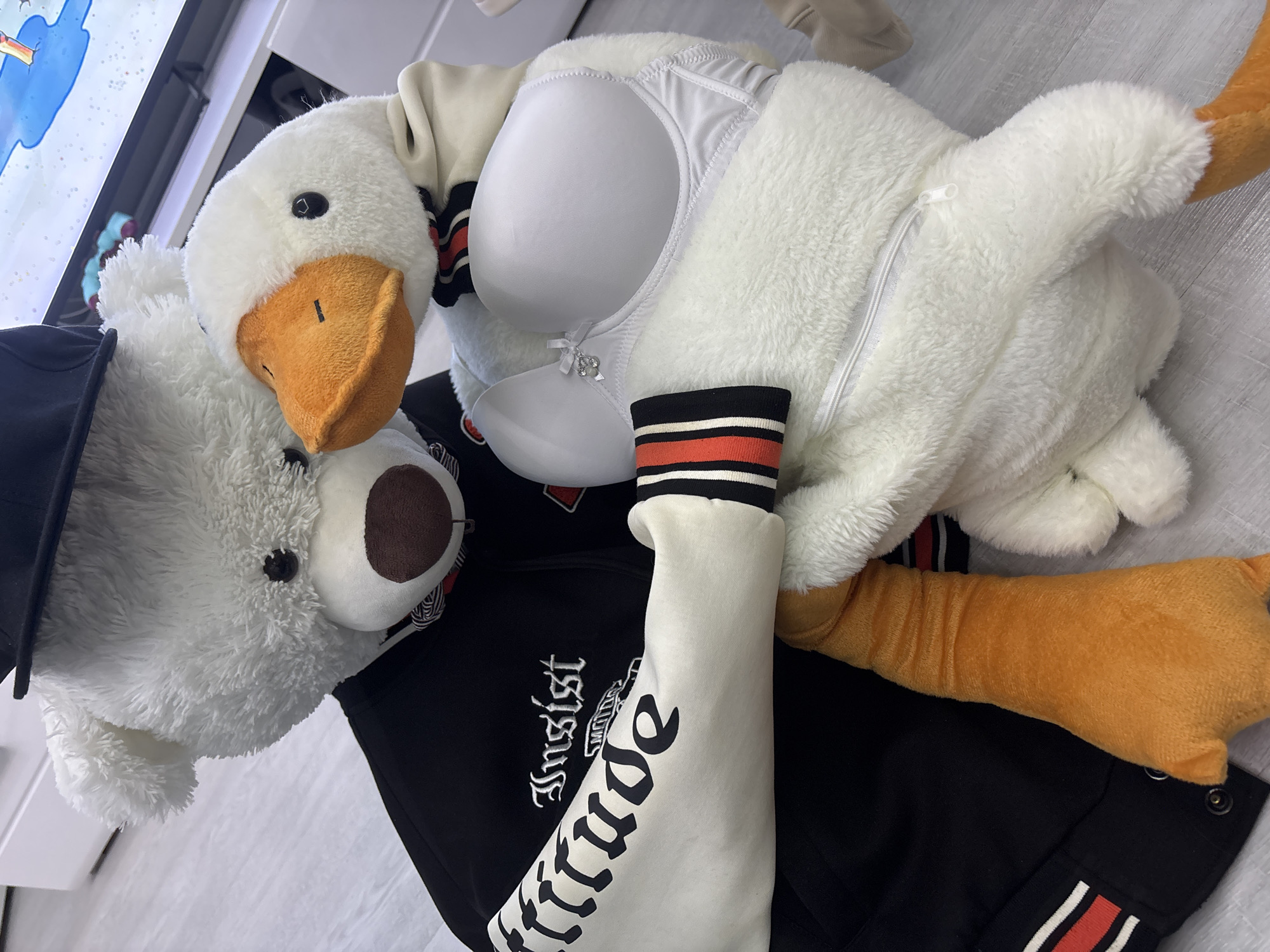 A photograph shows two stuffed animals, a white bear and a white goose, on a surface that appears to be a bed or a similar flat surface. The bear wears a black hat and is partially obscured by the goose. The goose is dressed in a white bra. The goose also wears a black jacket. The photograph includes the text "attitude".
The image does not provide specific information to conclusively determine its location as Saint Petersburg, Russia.