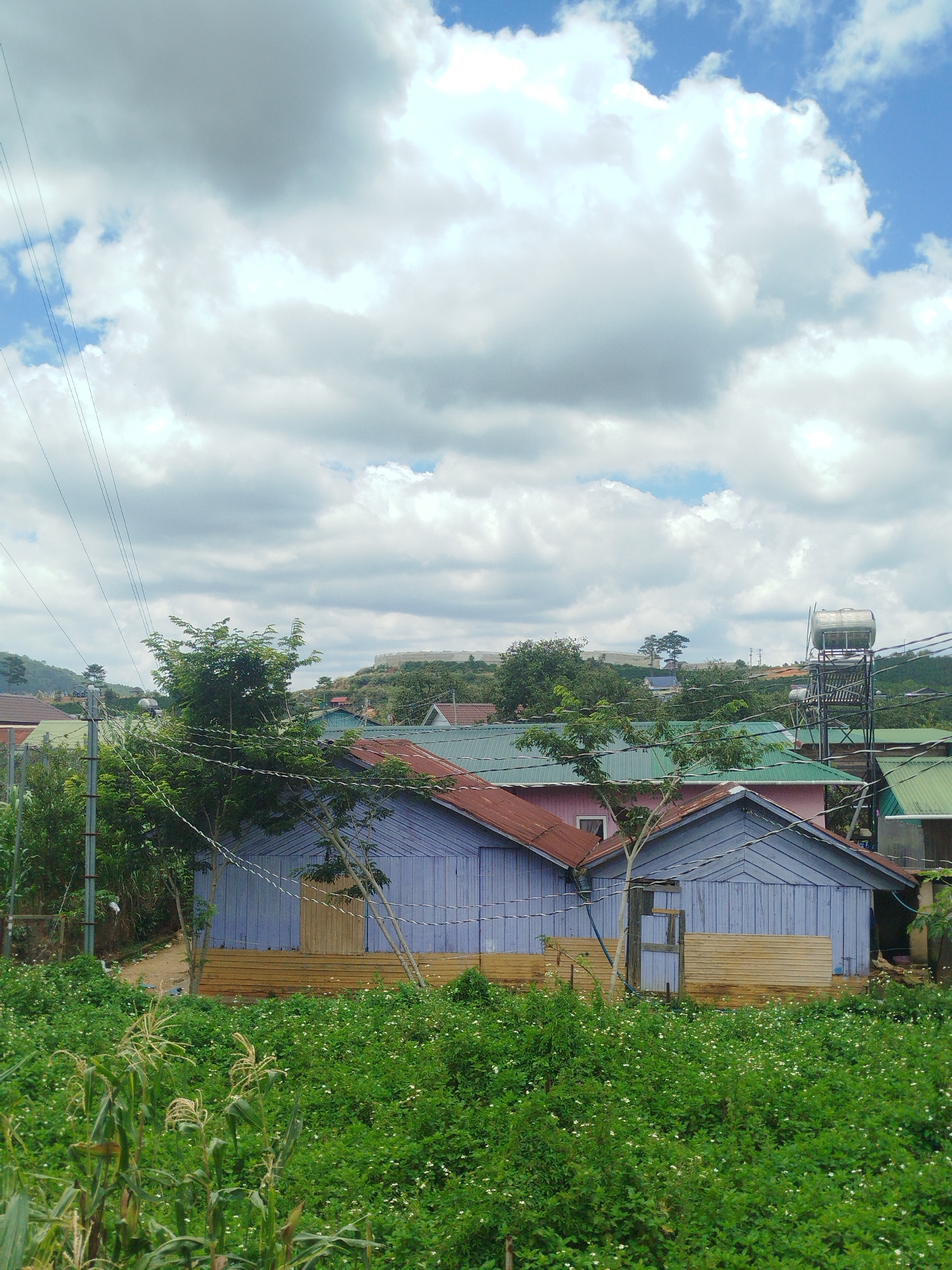A low-angle, full outdoor shot captures a rural Vietnamese scene under a partly cloudy sky. In the foreground, a lush field of green foliage with small white flowers and stalks of corn stretches across the frame. Behind the field, a cluster of houses with weathered, reddish-brown and green corrugated metal roofs is visible. Two prominent blue wooden houses with similar metal roofs stand out. The house on the left has a single wooden door and appears to be one story. To the right, another blue wooden house with a peaked roof is attached, featuring a lighter brown wooden door. A wooden fence separates the houses from the foreground field. Utility poles and a network of electrical wires crisscross the upper portion of the image, connecting to buildings and running towards the left. In the background, more houses and buildings with various roof colors dot the landscape, leading up to a distant, tree-covered hill. A large silver water tank on a metal frame is mounted on a roof to the right of the blue houses. The overall impression is a tranquil, everyday view of a rural community in Thôn 6, Vietnam.