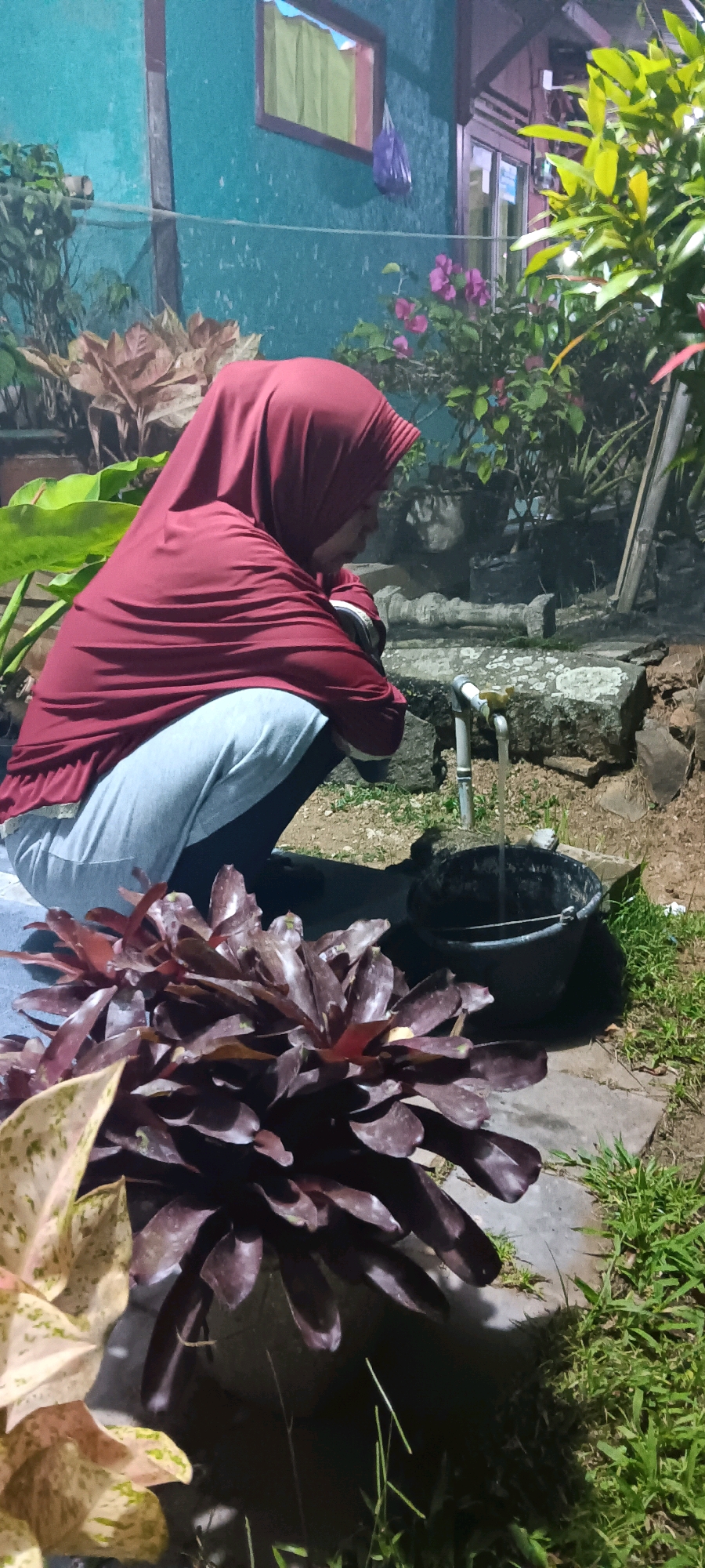 In Cingambul, Indonesia, a person wearing a maroon hijab and gray sweatpants squats next to a water faucet, filling a black bucket with water. The scene is set outdoors with various plants visible, including dark red bromeliads in the foreground and green foliage in the background. The background also features a teal-colored wall with a window and a wooden-framed structure, suggesting a residential setting. The lighting indicates it is either dusk or nighttime.