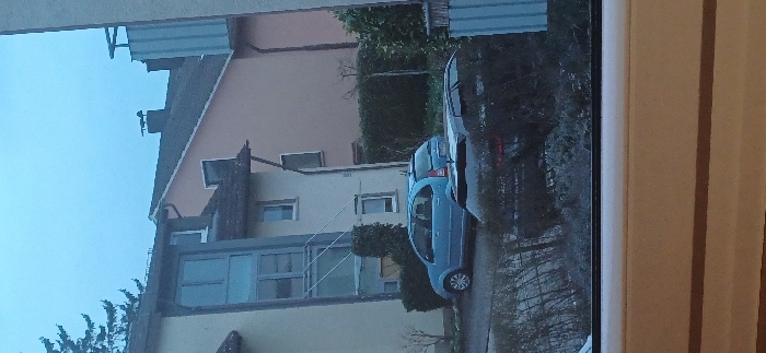 The image depicts a residential street scene in Constance, Germany, viewed from an elevated interior perspective, with a cream-colored window sill visible in the immediate foreground. The sky is uniformly overcast and light blue-grey.
Three primary buildings are visible. On the left, a multi-story residential building with a light cream-colored facade features a prominent vertical glass-enclosed structure, possibly a staircase or winter garden, supported by diagonal metal rods. Green climbing vegetation adheres to its wall. Behind and to the right of this, a multi-story residential building with a light peach-colored facade is visible. This building has a dark tiled roof and a chimney topped with a dark weather vane, which appears to be shaped like a rooster. On the far right, a partial view of a light blue-grey corrugated metal structure, consistent with a balcony railing or building facade, is present.
Two passenger vehicles are parked. In the mid-ground, a light blue compact hatchback, identified as a Citroën C3 (Mk I), is parked on an asphalt surface, facing left. In the immediate foreground, partially obscured by bare winter vegetation, the dark roofline and rear window of a second, larger dark-colored vehicle are visible.
Vegetation includes a dark conifer tree against the sky in the upper left, various hedges and bushes lining the properties, and frosted, bare deciduous shrubs and branches in the foreground. The overall lighting is diffuse, consistent with an overcast day. No human figures are visible.