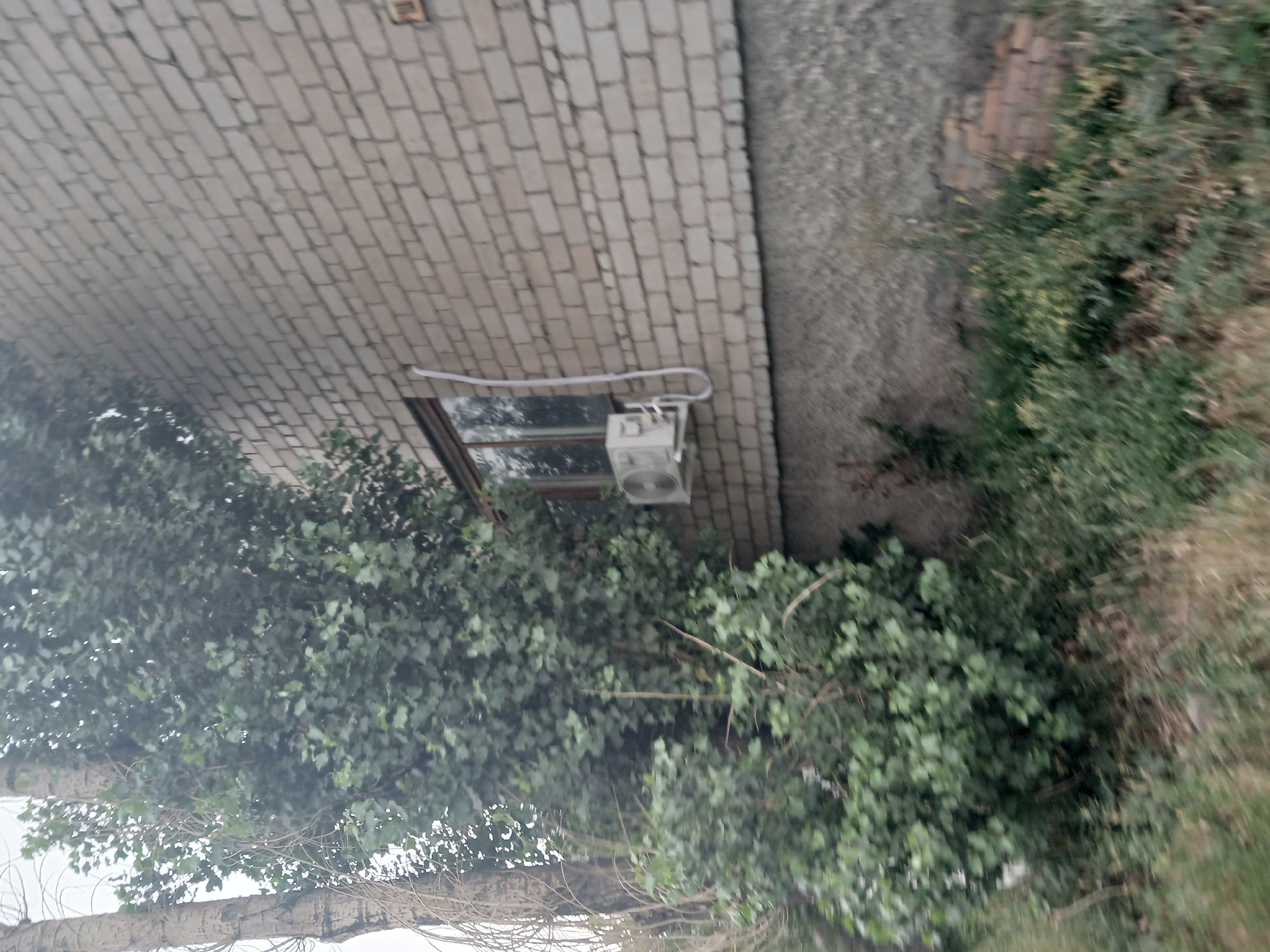 An exterior medium shot captures a white brick building with an air conditioning unit mounted on the wall. A large tree with green leaves stands to the left of the building, partially obscuring a window. The ground is covered with grass and other vegetation. The scene appears to be in Makinsk, Kazakhstan.