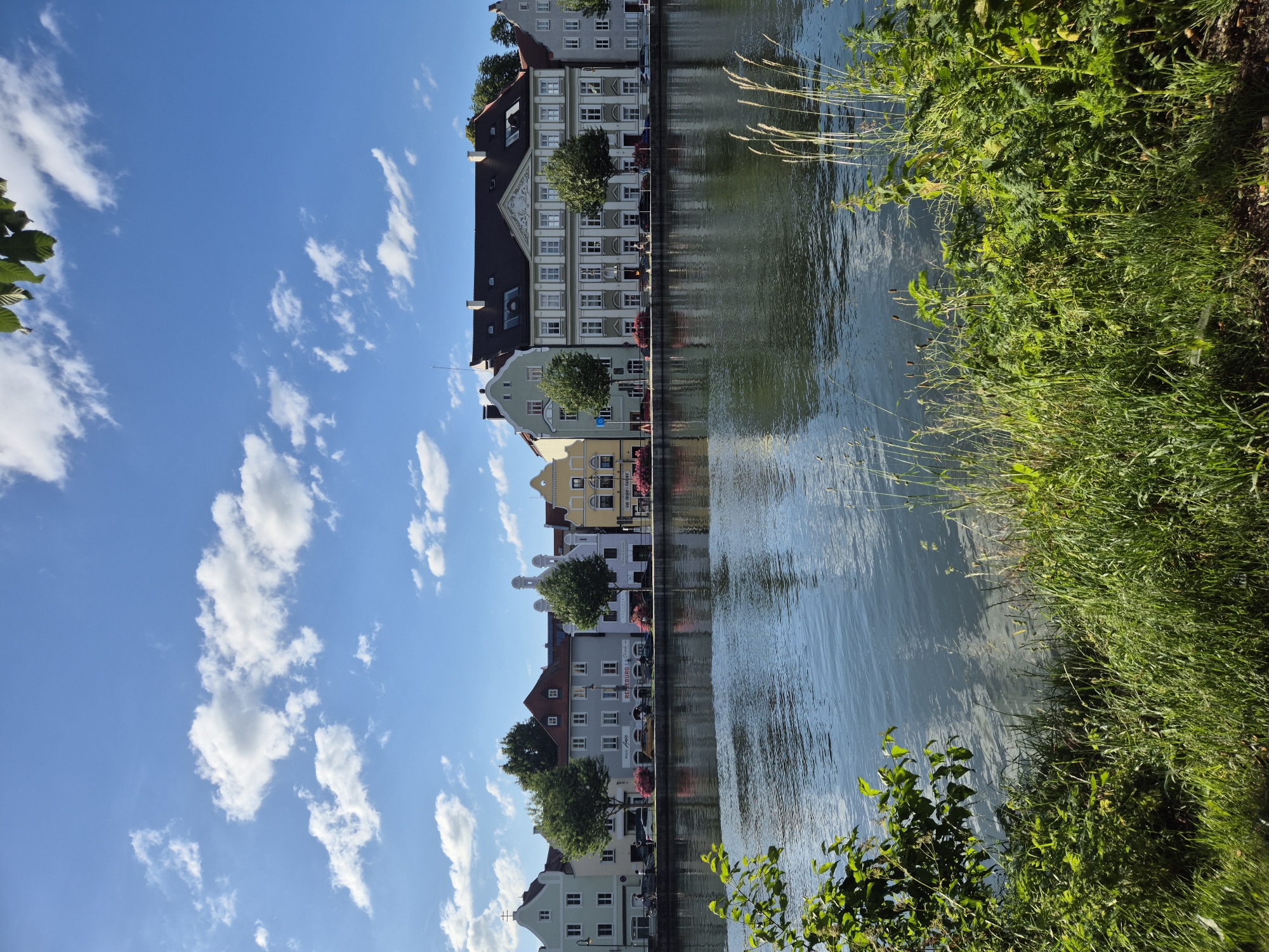 The image depicts a waterfront scene in Landshut, Germany, specifically along the Isar River. In the foreground, lush green vegetation and tall grasses line the riverbank, with a dark leafed bush on the left partially obscuring the view. The Isar River occupies the middle ground, its surface reflecting the blue sky and scattered white clouds. Across the river, a row of colorful, multi-story buildings forms the cityscape. These buildings are varied in architectural style and color, ranging from pale yellow and green to light blue and grey, with some featuring traditional German architecture. Trees are interspersed among the buildings, and a few cars are parked along the waterfront promenade. The sky above is a vibrant blue, populated with fluffy white clouds, suggesting a sunny day. The overall impression is one of a serene and picturesque urban landscape.