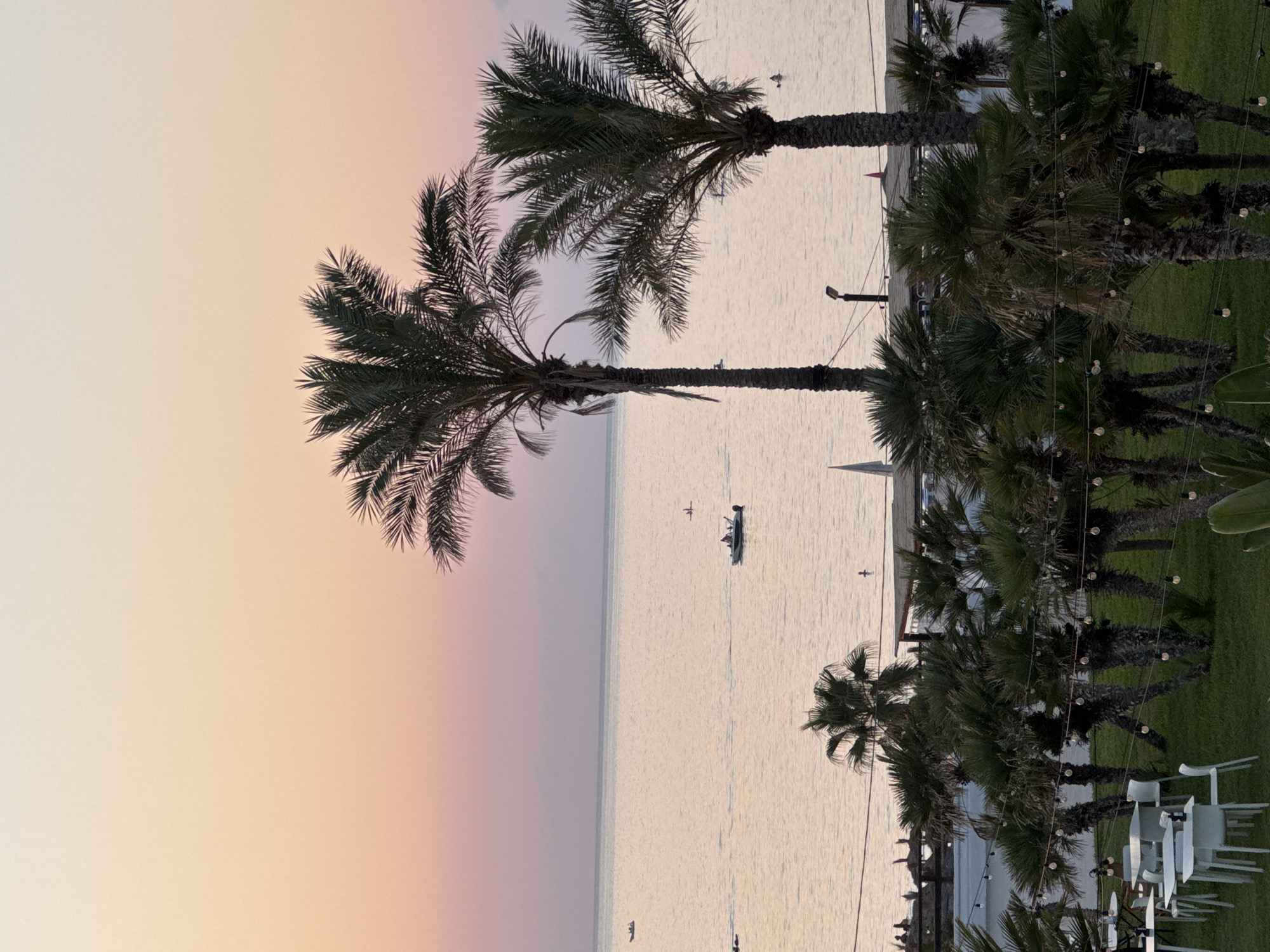 The image depicts a serene coastal scene at dusk, likely in Isola delle Femmine, Italy, given the presence of palm trees and Mediterranean sea. The sky transitions from a pale orange near the horizon to a soft pink and then a light lavender at the top, suggesting the sun has recently set. The calm sea reflects the pastel hues of the sky, creating a tranquil atmosphere. Several small boats are visible on the water, one with occupants. In the foreground, a cluster of palm trees stands tall, their fronds silhouetted against the sky. Below the palm trees, a grassy area is laid out with white tables and chairs, some illuminated by string lights, indicating an outdoor seating area for a restaurant or cafe. The overall impression is one of peaceful, relaxed ambiance, characteristic of a Mediterranean evening.
