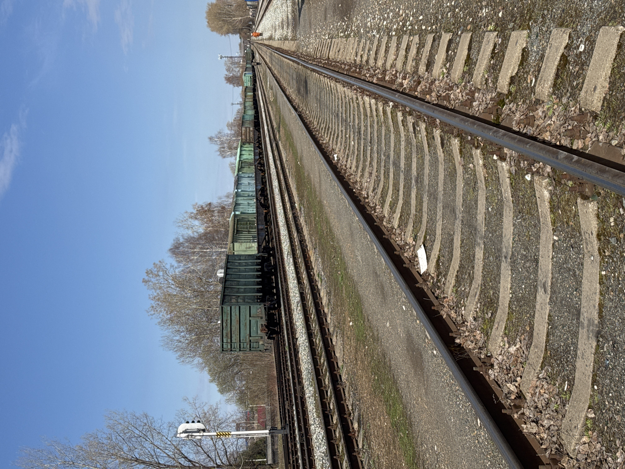 The image depicts a section of railroad tracks, possibly within the city of Chaikovsky, Russia. A line of green freight cars is parked on one set of tracks. The tracks run parallel and converge in the distance. The surrounding area consists of gravel, sleepers, and sparse vegetation. A control signal and some bare trees can be seen alongside the train cars. The sky is clear and blue. In the distance, near the vanishing point of the tracks, a single person in an orange jacket can be seen.
