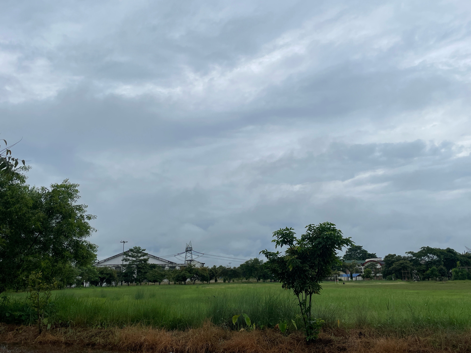 The image depicts an overcast sky over a rural landscape in Karigaon, India. In the foreground, a patch of dry, brown grass borders a vibrant green field. A solitary sapling stands to the right of the field, with a larger tree to the far left. In the mid-ground, a long, white building with a triangular roof stretches horizontally, flanked by various trees. Power lines and a transmission tower are visible behind the building. The background features more trees and residential buildings. The scene is devoid of any human presence or activity.
