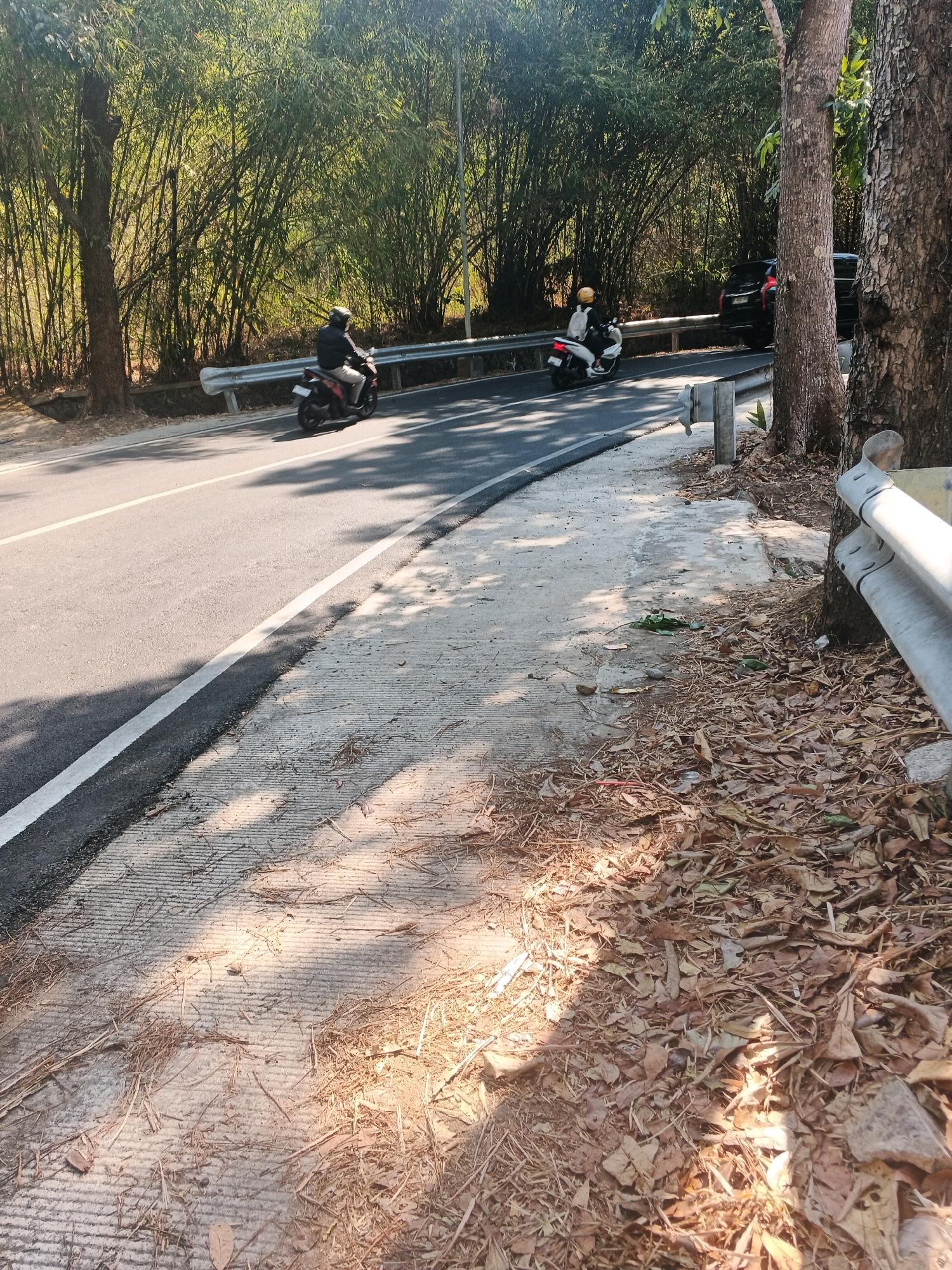 The image depicts a roadside scene in Semarang, Indonesia, characterized by a paved road on the left and a concrete pedestrian area with a guardrail on the right. The road has white lane markings and is bordered by a gentle curve. Two individuals on scooters are visible on the road, heading away from the viewer. One scooter rider is wearing a dark jacket and a helmet, while the other is wearing a light-colored jacket and a yellow helmet. Behind the road and pedestrian area, a dense bamboo forest forms the backdrop, with tall, slender stalks creating a natural screen. Sunlight filters through the bamboo, casting dappled shadows on the road and ground. The ground on the right side of the image is covered in fallen leaves and dry vegetation, indicating an outdoor, possibly natural setting within or on the outskirts of the city. A dark-colored vehicle is also partially visible on the road in the distance, to the right of the second scooter. The overall atmosphere suggests a sunny day.