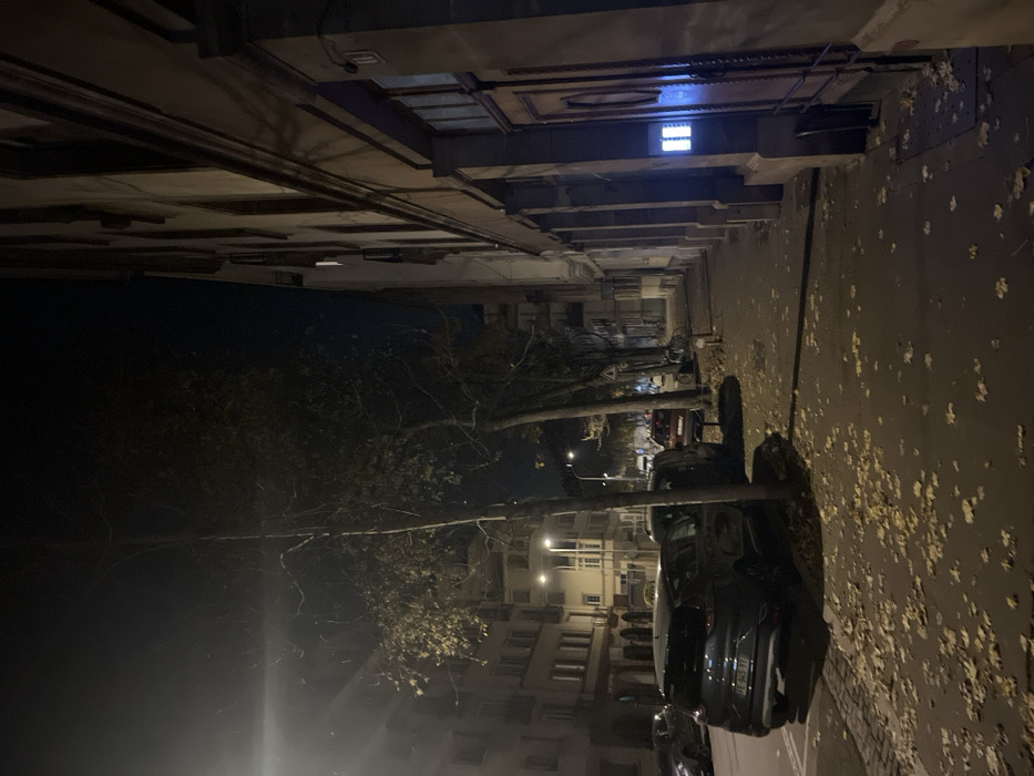 A nighttime street scene shows parked cars along a sidewalk littered with leaves. Tall buildings line the street, their windows visible in the dim light. A bare tree branch stretches across the view, partially obscuring the buildings. The top of the frame reveals ornate building details with what appears to be a lit window.