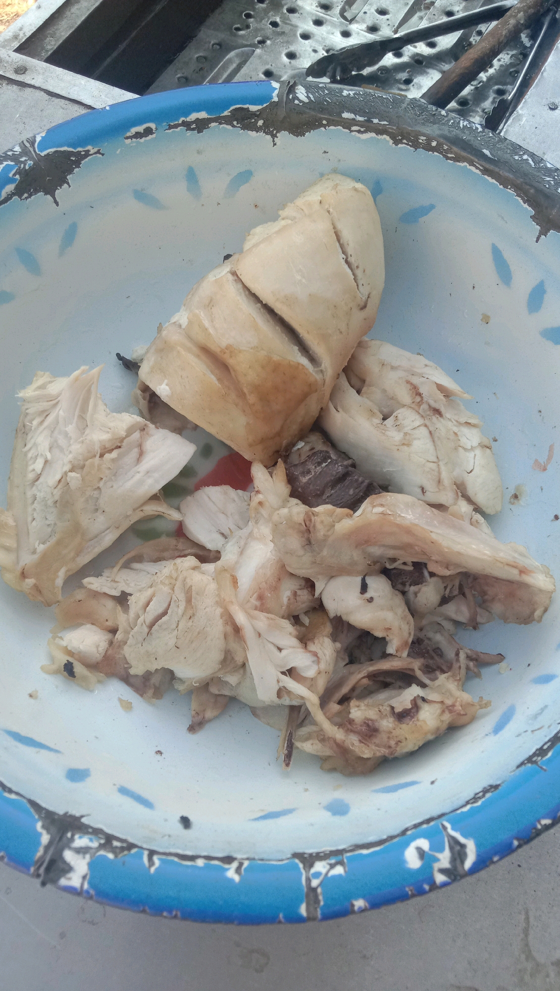 This is a close-up, overhead shot of shredded and chunked cooked chicken in a chipped enamel bowl. The bowl has a blue rim with white and light blue speckles inside. The chicken appears to be a light beige color, with some darker browned pieces visible. Some pieces are larger chunks, while others are finely shredded. The bowl is placed on a metallic surface that appears to be a grate. The background is out of focus, but suggests an outdoor or utilitarian setting. This image does not contain any information that would allow for its localization to Sidogiri, Indonesia.