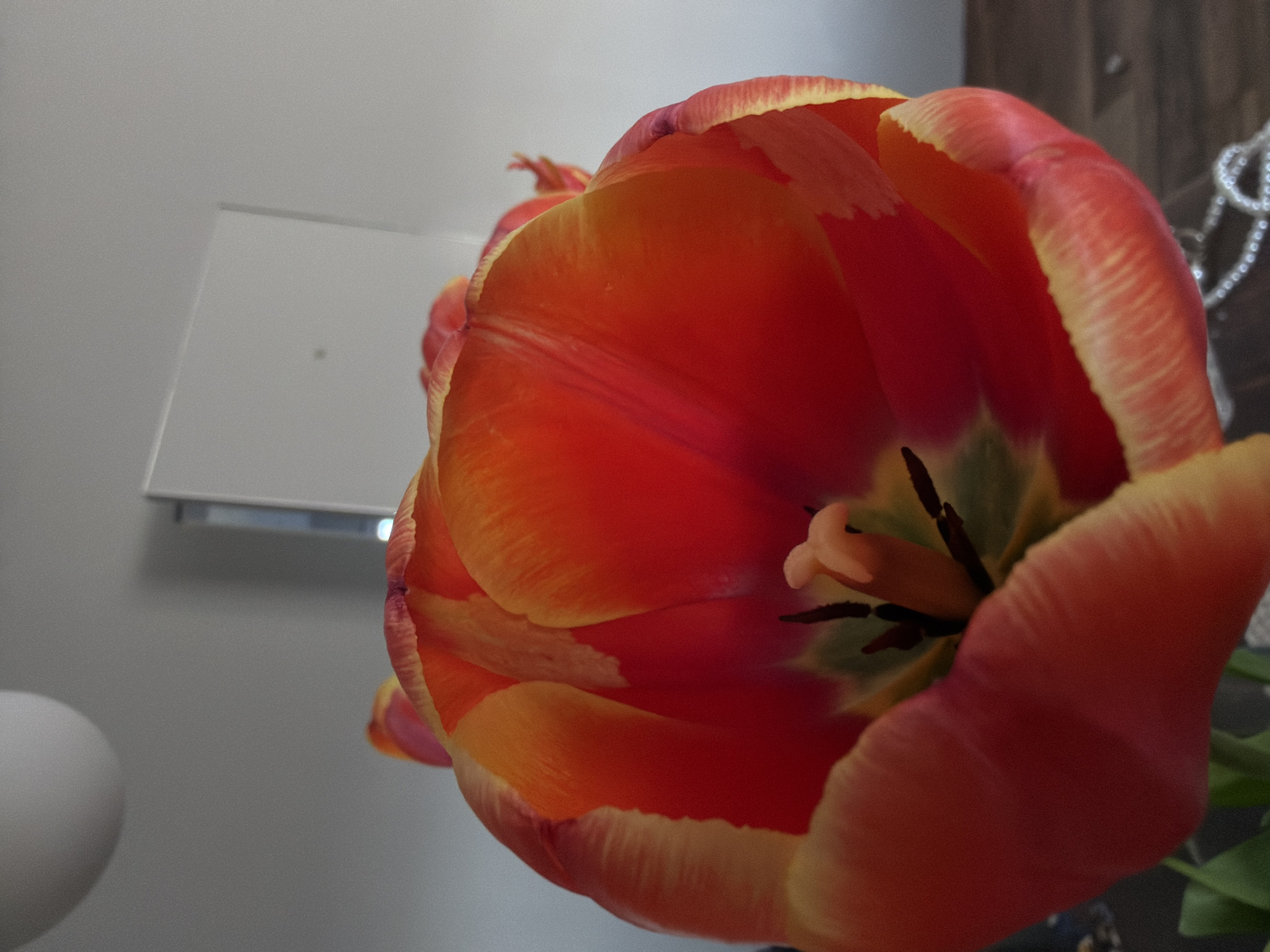 A close-up, upward-angled shot focuses on a vibrant, open tulip flower. The tulip has petals predominantly red and orange with yellow edges. Inside the flower, the pistil and stamen are visible. The background is a mixture of elements, including a white wall, a white electrical outlet, a white round object, and a wooden surface with some beaded decorations. The image appears to be taken indoors, possibly in a residential setting. There is no indication of this location being in the city of Chaikovsky, Russia.