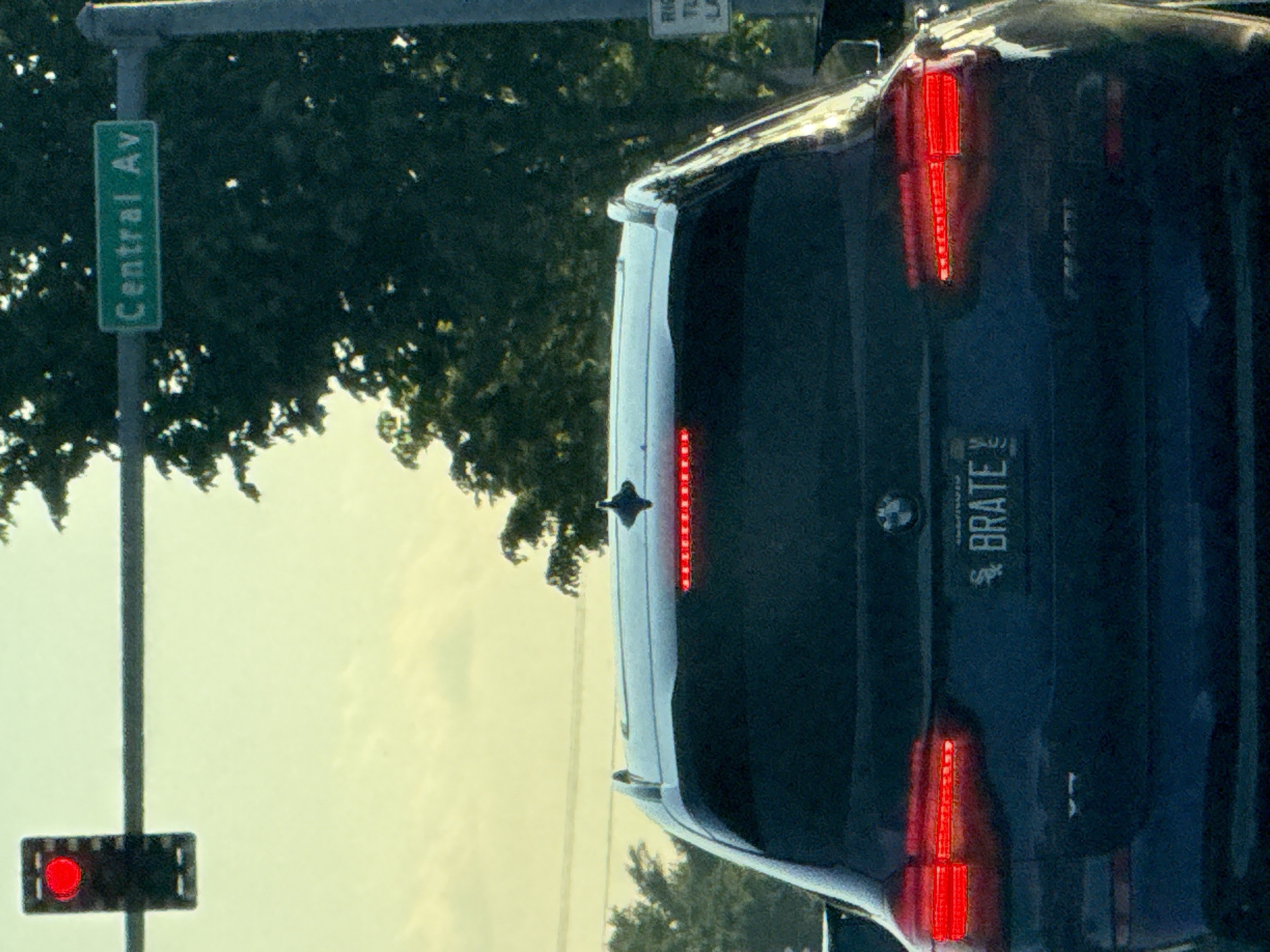 The image shows the rear of a dark-colored BMW SUV with the vanity license plate "BRATE". A street sign indicates "Central Ave," and a traffic light is visible with the light displaying red. The location is Skokie, United States of America based on the available street sign. Trees are visible in the background.