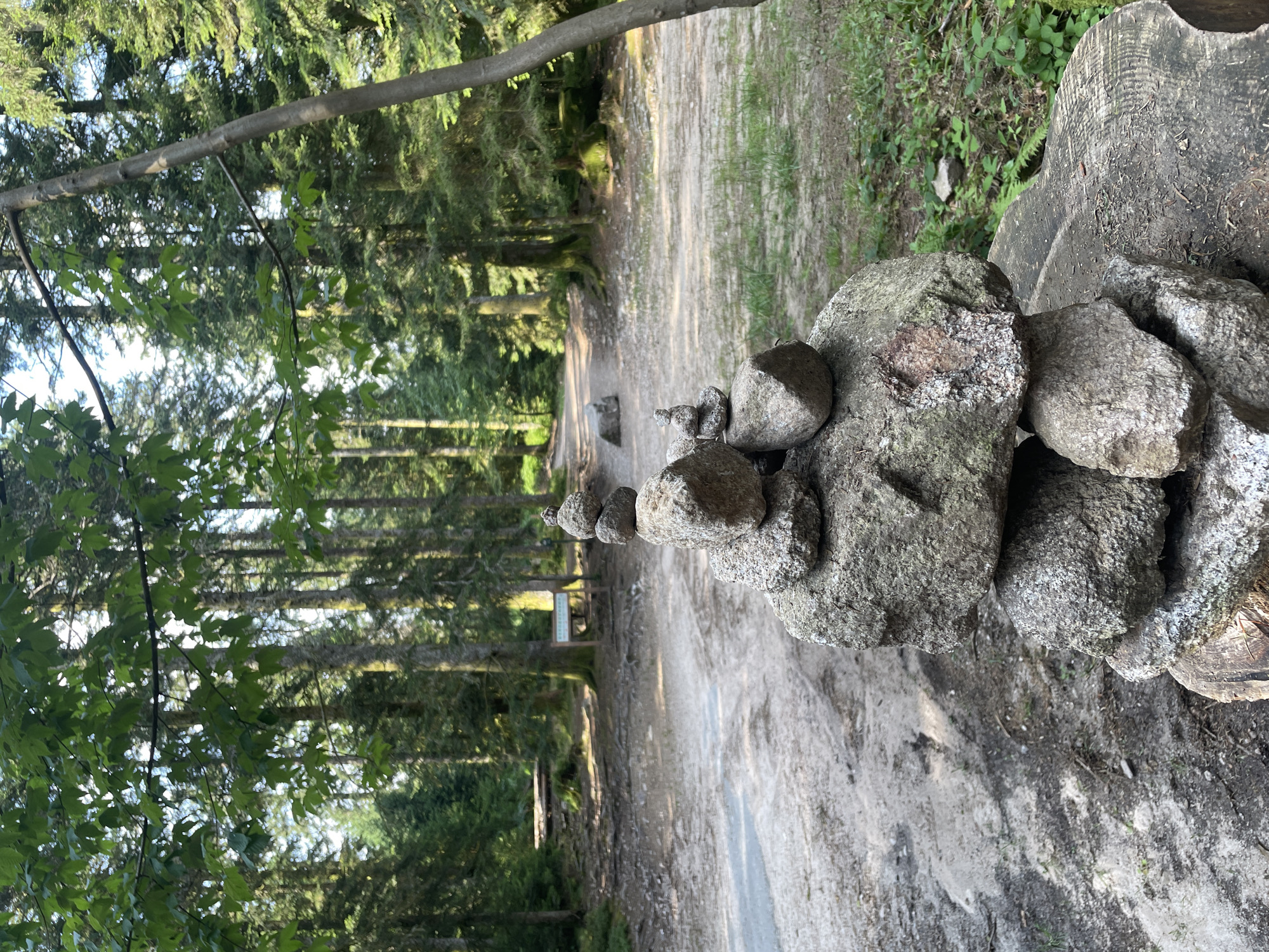 A cairn of balanced stones is in the foreground of a dirt path in a forest. The path curves to the left and appears to lead uphill. Tall trees with green foliage line the path. A wooden sign is visible on the left side of the path in the background.