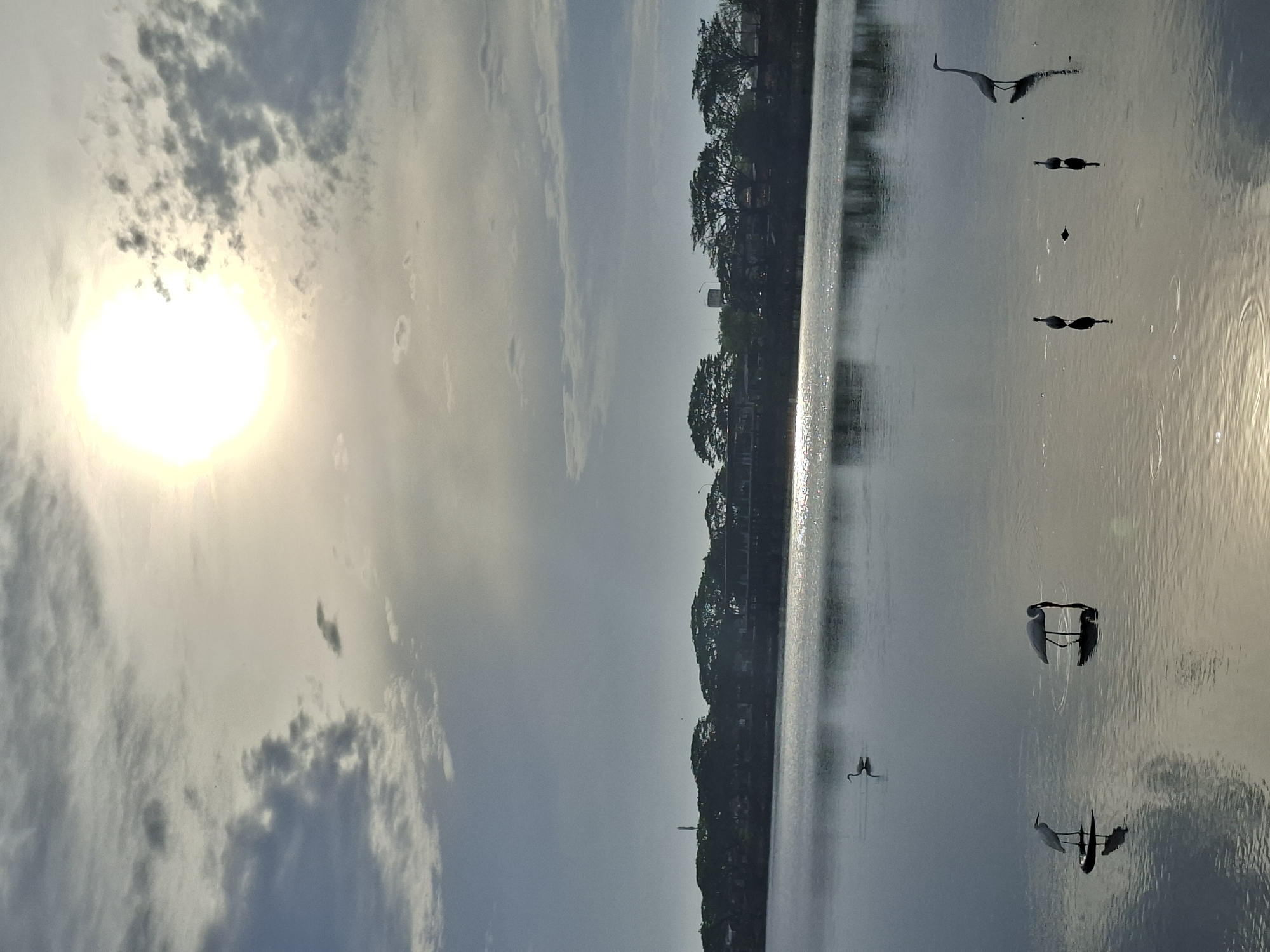 The image depicts a serene natural scene at the waters edge in Lhokseumawe, Indonesia. A bright sun is positioned high in the sky, partially obscured by scattered clouds, casting a shimmering reflection on the water's surface. The foreground features a body of water where several egrets are visible. One egret stands in the water to the left, another appears to be feeding, its head submerged, while two more are further out, one closer to the shore and another a bit more distant. The background shows a line of trees and a structure, possibly buildings, along the opposite bank of the water. The overall atmosphere is tranquil, suggesting an early morning or late afternoon setting.