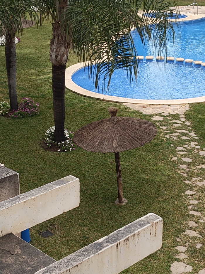 This high-angle image depicts a recreational garden and pool area in Rotes, Spain. In the foreground, two weathered, off-white concrete balcony railings are visible, one extending from the left and another from the lower right. The central area features a manicured green lawn with two palm trees, their dark trunks surrounded by beds of small white and purple flowers. A single thatch-roofed umbrella with a brown wooden post stands on the lawn to the right of the central palm tree. A winding pathway constructed from irregular light-colored flagstones traverses the lawn from the lower right towards the pool. The background reveals a large, curved blue swimming pool with light-colored coping. A line of eight circular, light-colored stepping stones is positioned across a section of the pool water. A smaller, circular water feature with handrails is partially visible at the far right edge of the pool. No individuals are present in the scene.