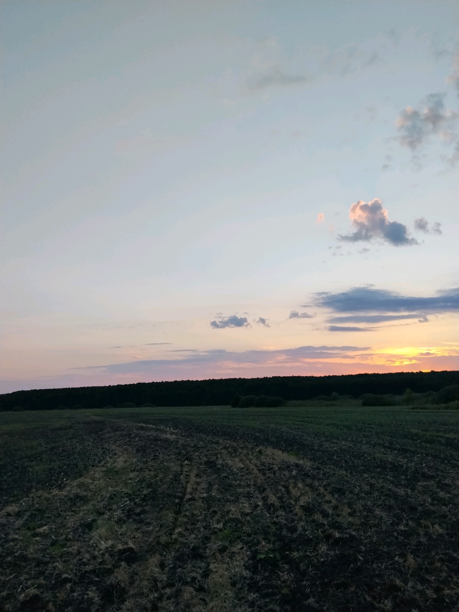 The image depicts a landscape scene in the city of Pidluky, Ukraine, during what appears to be sunset or dawn. The foreground is a dark, plowed field with visible furrows and patches of dry grass or stubble. In the midground, a dark green line of trees forms a dense forest boundary. Beyond the trees, the sky transitions from a pale blue at the top to soft hues of pink, orange, and yellow near the horizon, indicating the setting or rising sun. Several clouds are scattered across the sky, some tinged with pink and orange. The overall atmosphere is tranquil and natural, with no people or man-made structures prominently visible in the frame. The perspective is from ground level, looking towards the horizon.