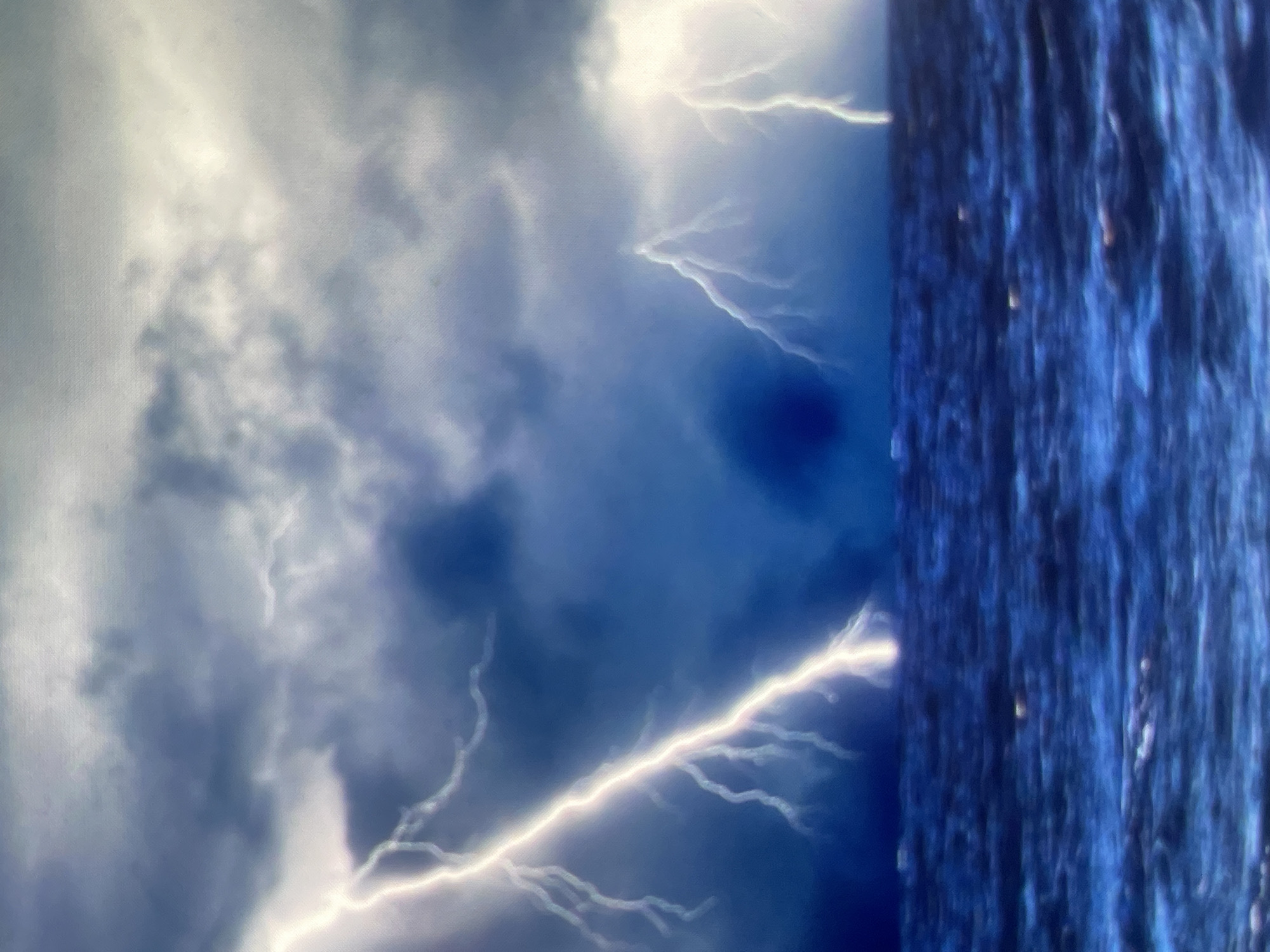 This image depicts a severe lightning storm over a large body of water, located in Zelenyi Hai, Ukraine. The sky is dominated by dense, dark blue-gray storm clouds, with lighter, illuminated sections indicating intense atmospheric activity. Multiple lightning bolts are visible; a prominent, branched strike originates from the upper-left portion of the frame and descends diagonally to impact the water in the lower-left. Two additional, less defined lightning strikes are present in the mid-right. The surface of the water below is dark blue and appears turbulent, consistent with stormy conditions. No human figures, vessels, or man-made structures are discernible within the frame.