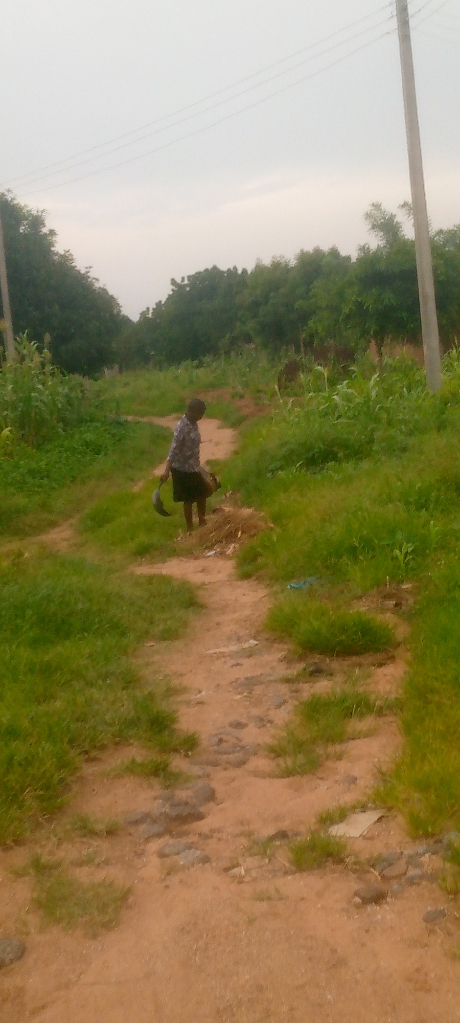 A person is walking down a dirt path in a rural area. The person is wearing a dark, patterned shirt and a dark skirt. They are carrying what appears to be a basket or bowl in their left hand, and something long and dark, possibly a fish or a tool, in their right hand. The path is surrounded by tall green grass and vegetation. In the background, there are trees and a utility pole with wires. The sky is overcast.