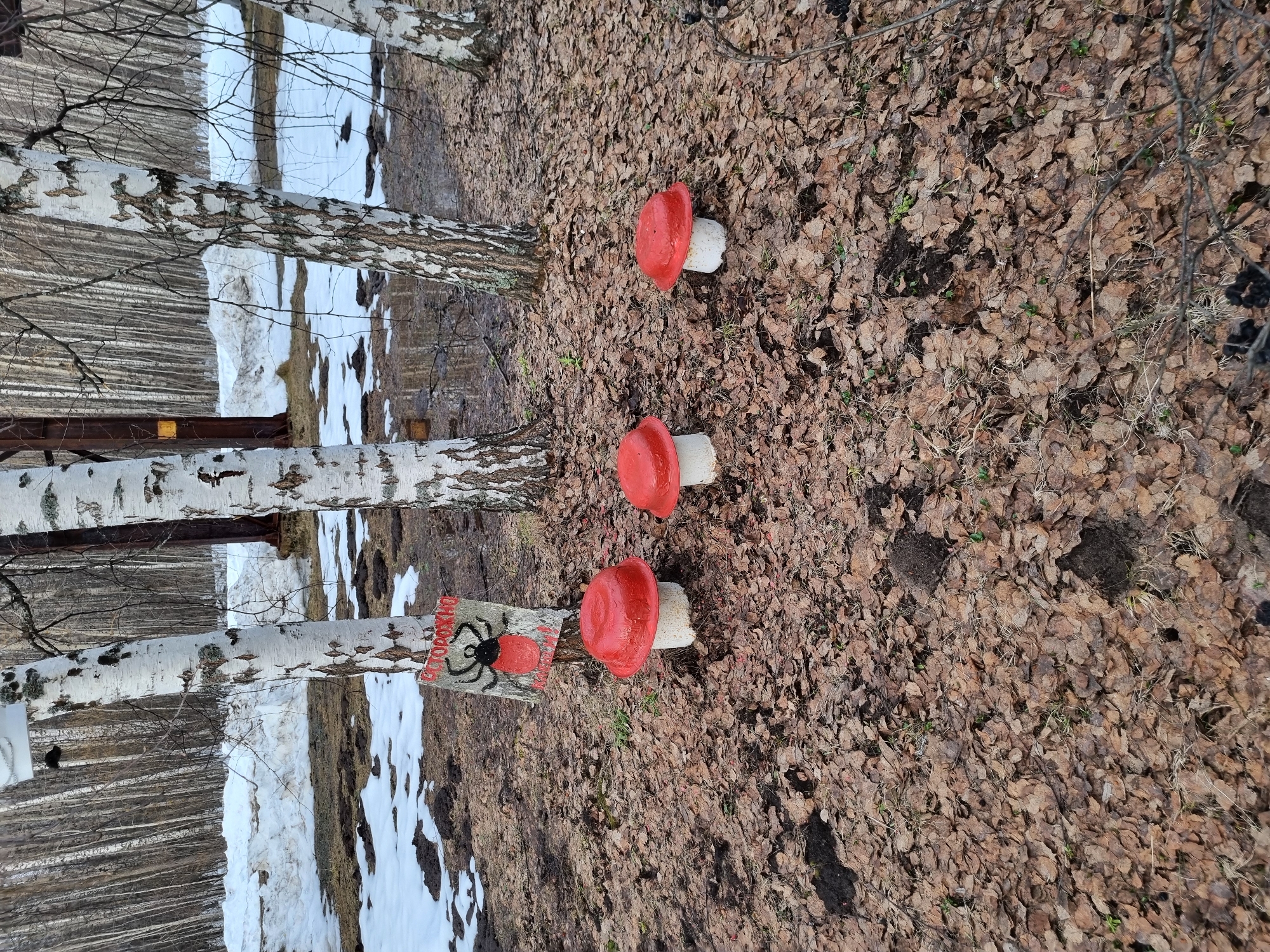 The image shows a forest scene in Kemul, Russia, during early spring. The ground is covered with brown fallen leaves, with patches of melting snow visible. Three birch trees stand prominently, their white bark marked with black patterns. To the right of the trees, three artificial mushrooms, painted with red tops and white stems, are arranged in a line on the ground. Near the bottom birch tree is a sign displaying a drawing of a tick and the word "сторожно," which means "caution" in Russian.