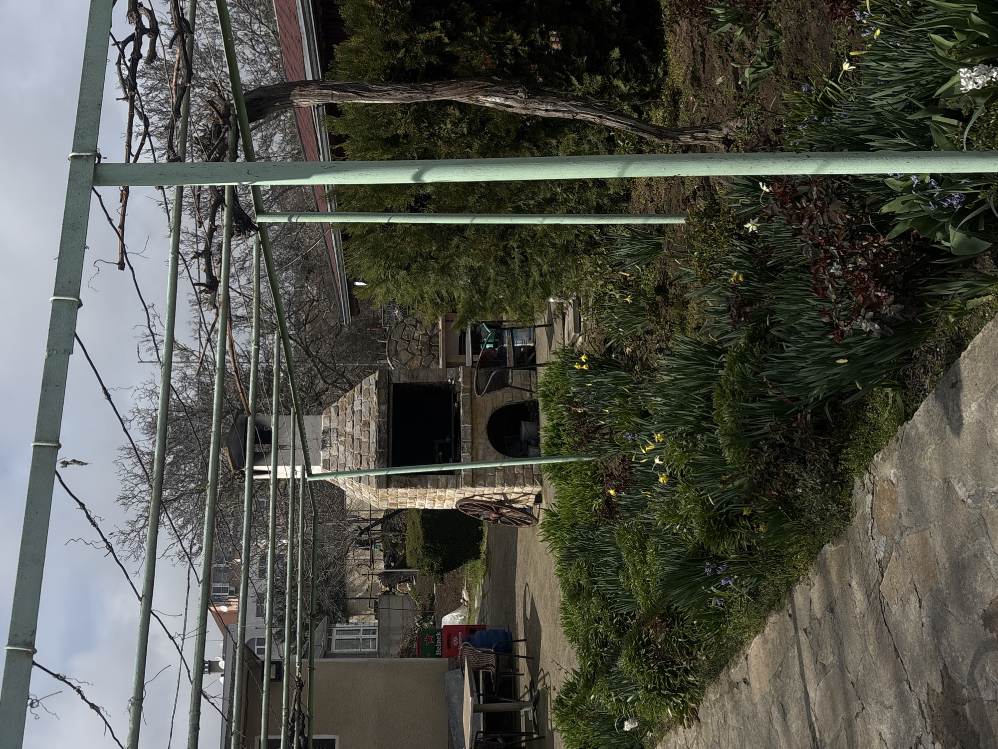 The image displays an outdoor residential or garden area in Varna, Bulgaria, under a partly cloudy sky. In the foreground, a stone-paved path extends along the left, adjacent to a garden bed. This bed contains various green plants, yellow daffodils, white hyacinths, and small purple-blue flowers, indicative of early spring. Three light-green painted metal poles support a pergola framework above, from which bare, dormant vine branches hang.
Centrally, a substantial stone-built outdoor fireplace or barbecue structure with a chimney stands. A wooden wagon wheel leans against its right side. To the left of the fireplace, an outdoor dining setup includes a square table and two chairs, one with a striped pattern. A red plastic crate, possibly Heineken branded, and a large blue water bottle are positioned behind the table.
Beyond these elements, dense evergreen shrubs and several bare deciduous trees are visible. The background reveals multiple residential buildings, including a light-colored house with white-framed windows to the left and, further in the distance on a slight incline, apartment-style buildings featuring balconies and rooftop satellite dishes. No individuals or active interactions are present in the static scene.