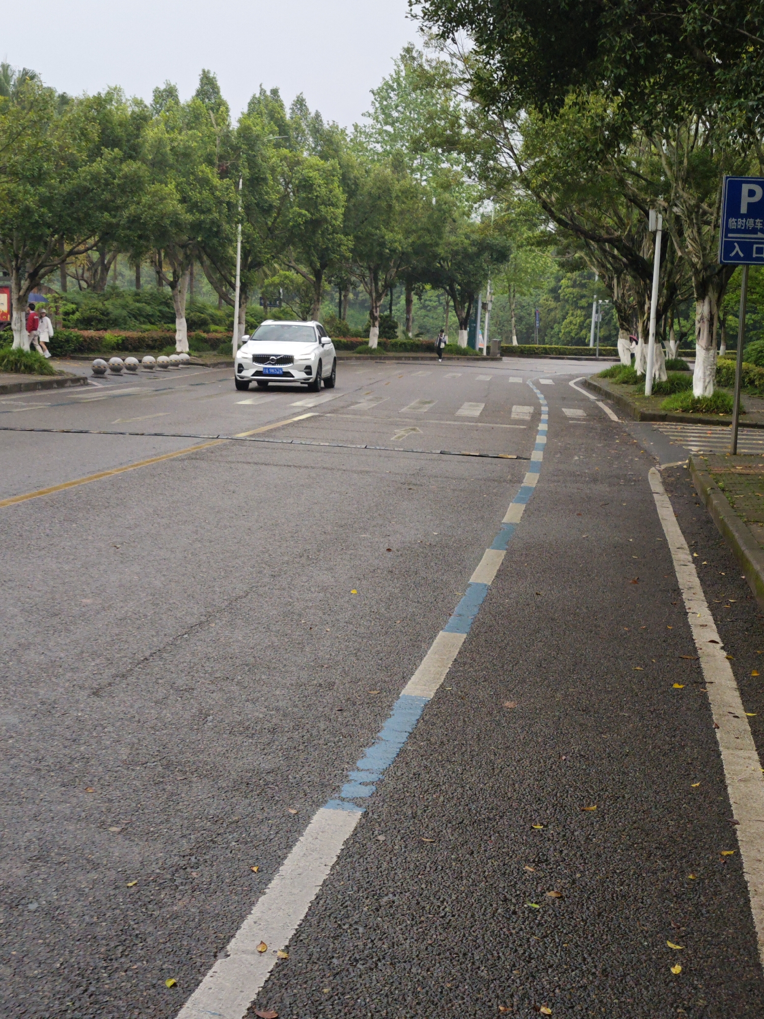 The photograph captures a street scene in Chongqing High-tech Zone, China. A white car is the primary focus, traveling on the road. To the left, two individuals are visible on the sidewalk. A crosswalk spans the road, while a blue and white painted lane divider marks the edge of the road. Trees line both sides of the street, with some having white-painted trunks. A parking sign stands on the right side of the road. The asphalt road is visible with minor debris, likely leaves. The sky appears overcast.