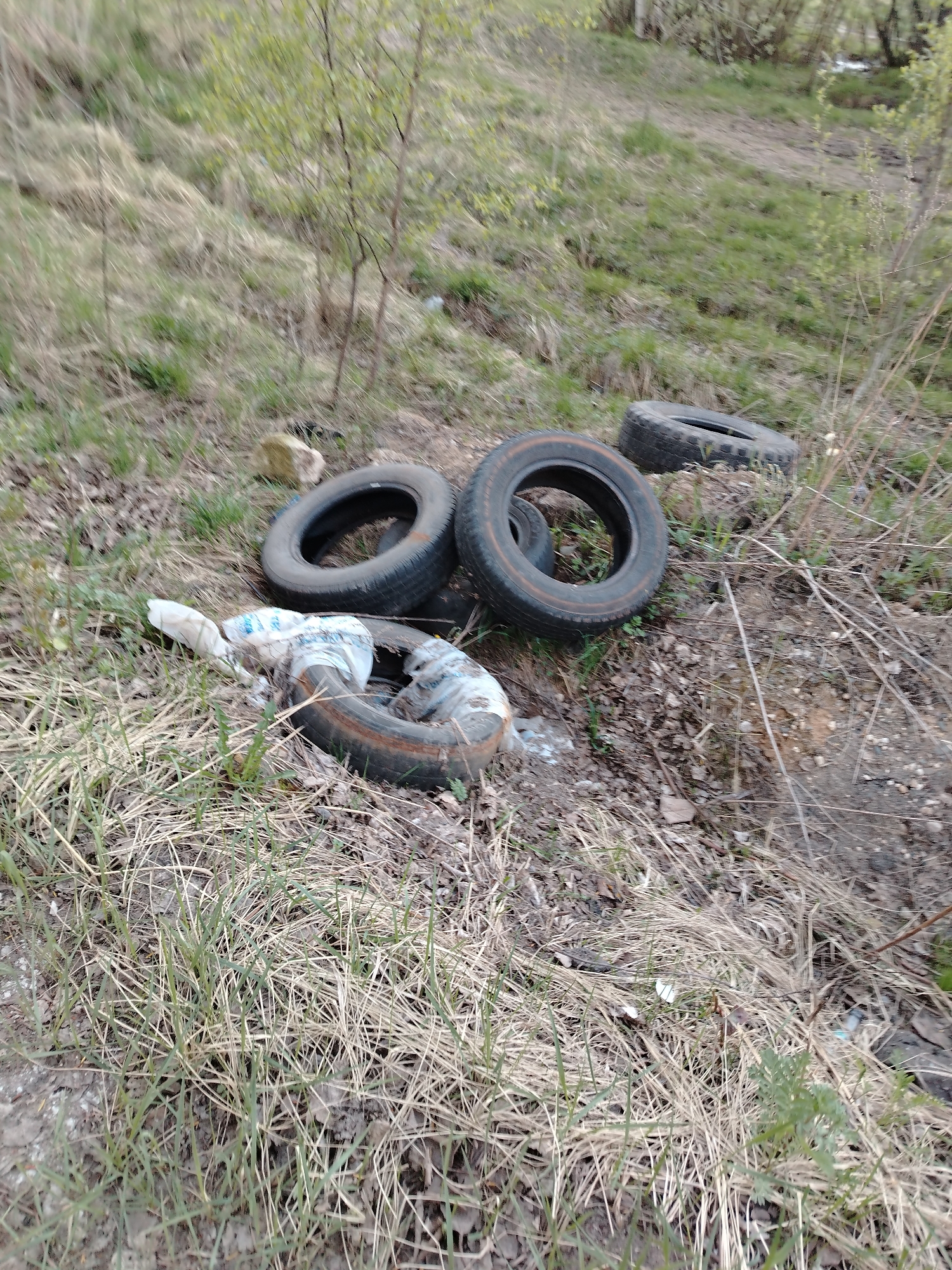 The scene depicts an area of environmental pollution in an outdoor setting, presumably in or near Шебунино, Russia. Four discarded tires are scattered on the ground among dry grass, small trees, and dirt. A plastic bag is partially lodged inside one of the tires near the lower-left portion of the image. The ground is uneven with patches of dead vegetation. The scene suggests illegal dumping.