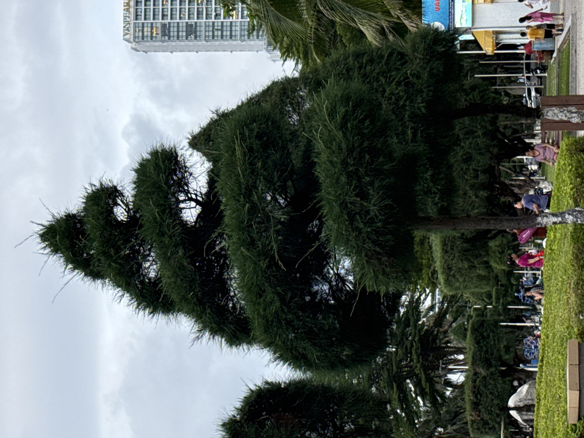 The image depicts a public park area in Nha Trang, Vietnam, with a large, elaborately pruned coniferous tree dominating the foreground. The tree has a spiral design and appears to be a focal point of the landscaping. In the background, a tall, modern building with the text "VINPEARL" is visible, indicating a connection to the Vinpearl resort complex, a prominent tourist destination in Nha Trang.
The park features other trees, including palm trees, and well-maintained green hedges. Several people are scattered throughout the scene, engaged in various activities. Some individuals are walking, while others are seated on benches or interacting in small groups. One woman in a pink top is holding a red bag, and a group of children and adults are near a kiosk with a yellow awning. The ground is paved with light-colored tiles and interspersed with grass. The sky is overcast with clouds. The overall impression is of a well-kept recreational space within a city.