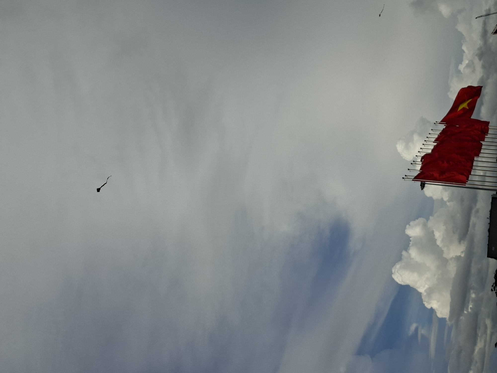 In an outdoor scene under a cloudy sky, several red flags with yellow stars are displayed, mounted on poles. To the left and center, a group of these flags are visible, with one prominently showing its yellow star. Further to the right, additional flags are lined up. In the sky above, a small black kite is flying. The environment suggests an open area, possibly a park or a public square, with a few silhouetted trees visible at the very bottom of the frame. The weather appears overcast, with a mix of grey clouds and patches of lighter sky.