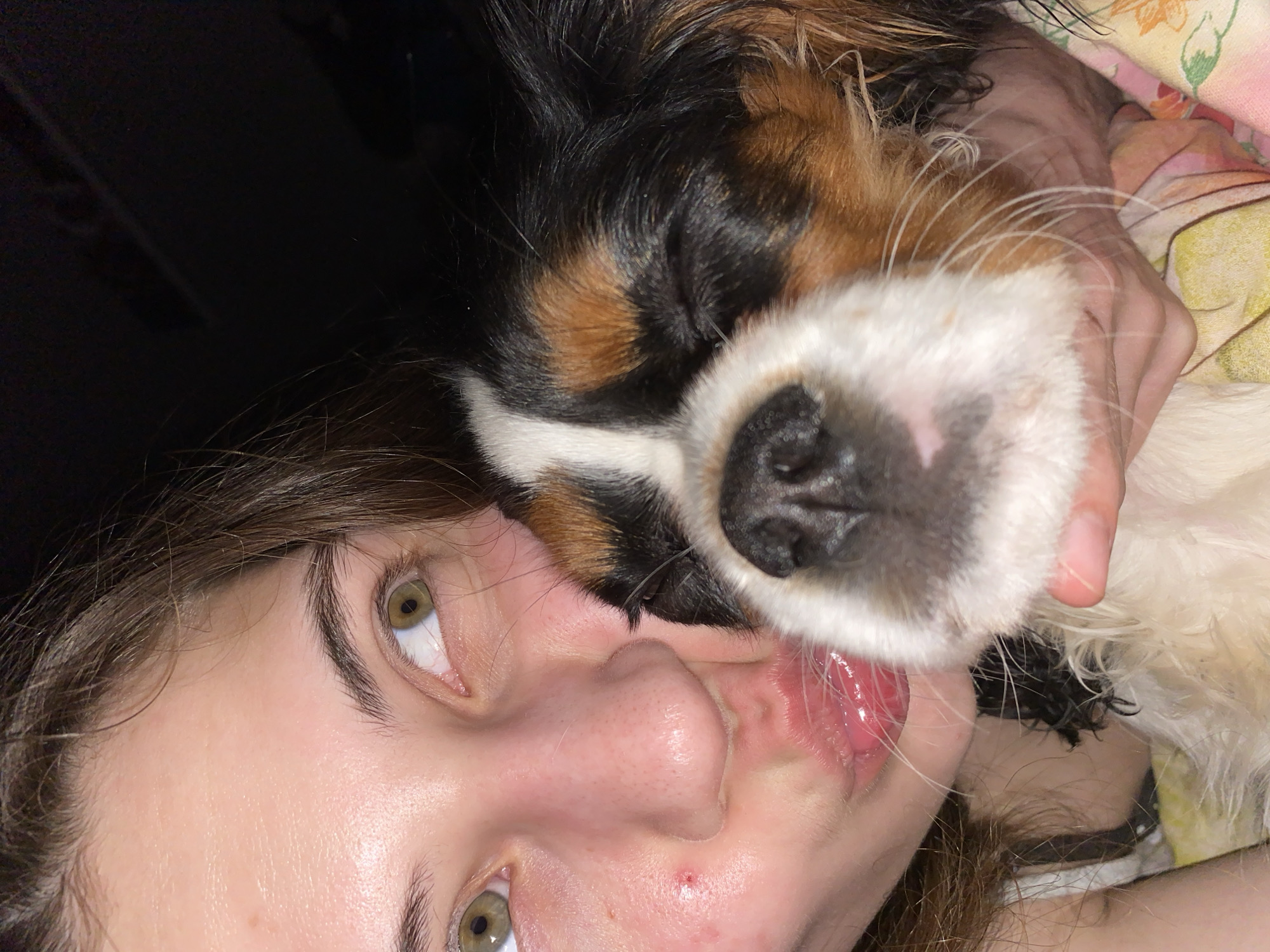 This close-up portrait, oriented horizontally, captures an affectionate and playful moment between a young person and a small dog indoors, reportedly in Votkinsk, Russia.
The central subjects are a person with fair skin, brown hair, and distinct olive-green eyes, and a tricolor dog. The person's face is seen from the nose downwards, angled slightly, with a small red blemish visible on the chin. Their expression suggests they are either enjoying or tolerating the dog's enthusiastic attention.
The dog, possibly a Cavalier King Charles Spaniel or a similar breed, features prominent black, brown (tan), and white fur patches. Its snout and black nose are in sharp focus, along with its long white whiskers. The dog's pink tongue is extended, actively licking the person's mouth and cheek area, indicating a strong bond and playful interaction. A human hand is faintly visible behind the dog's head, gently holding or supporting it.
The background on the left side of the image is dark and indistinct, suggesting low light conditions or a focus on the subjects. On the right, behind the dog and the human hand, a glimpse of patterned fabric, possibly a blanket or bedding in shades of pink, yellow, and green, is visible. The overall scene conveys a warm and intimate atmosphere of companionship and affection between the pet and its owner. There is no visible text in the image.