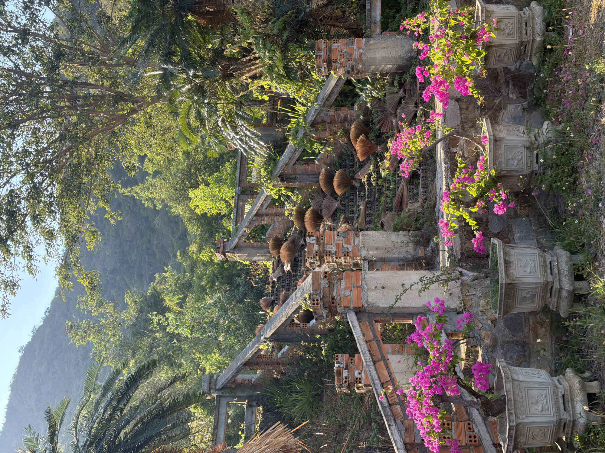 The image depicts an outdoor scene in Nam Nha Trang Ward, Vietnam. The foreground showcases an architectural structure that appears to be a stepped garden or landscape feature, possibly part of a larger construction or ruin. This structure is made of brick and concrete, with plants and vegetation growing amongst the architectural elements, including vibrant pink bougainvillea flowers in decorative stone planters.
Rows of tan-colored brooms or similar brushy objects are arranged within the stepped structure, adding a unique design or functional element.
Beyond the structure, dense green foliage and trees cover the background, creating a backdrop of lush vegetation. The sky is partially visible at the top left, suggesting a bright, daytime setting with sunlight filtering through the trees. A mountain can be seen in the background.