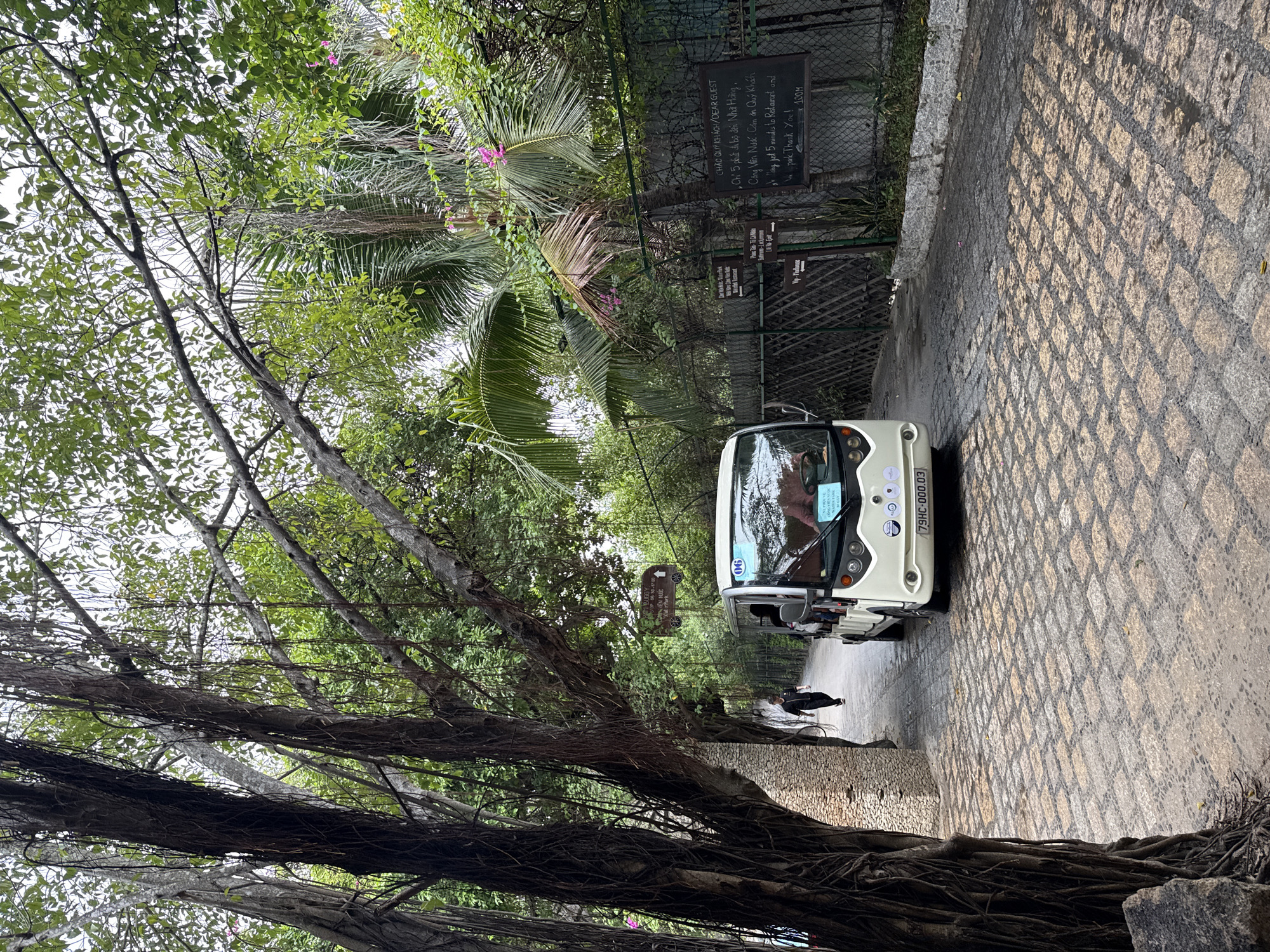 An electric tourist vehicle, white with a blue sign and license plate "79HC-000.03", travels down a paved path bordered by lush green trees and foliage in what appears to be a park or resort. The path is made of light-colored cobblestones arranged in a diamond pattern. On the left side of the path, a large tree with prominent roots and hanging vines stands next to a stone wall. A single person in dark clothing walks away from the vehicle further down the path. On the right side of the path, a black fence with a sign in English and Vietnamese is visible, indicating directions to a restaurant and park, with the distance of 100 meters. The sky is overcast, and the overall atmosphere suggests a tropical environment, consistent with Nha Trang, Vietnam.